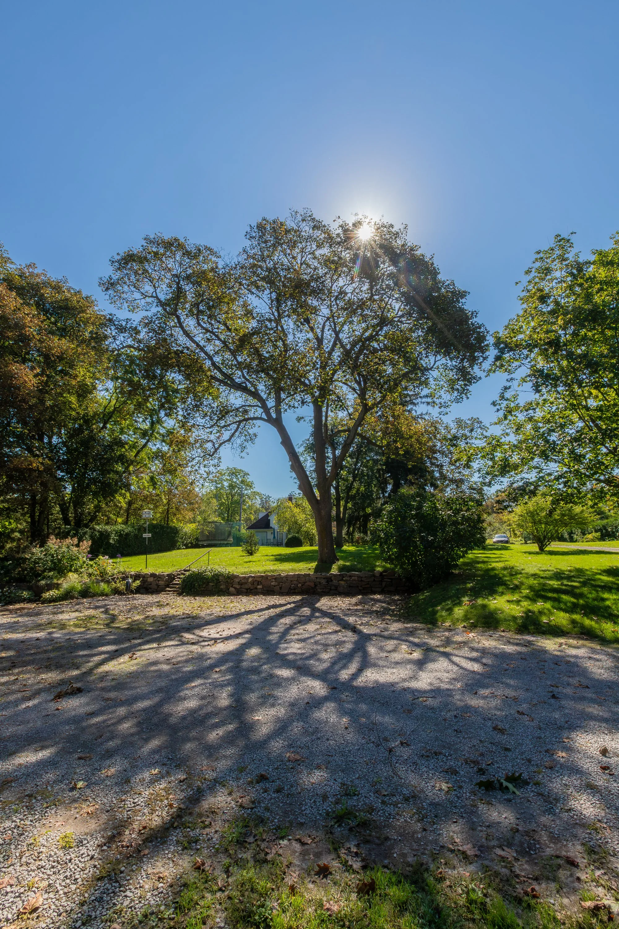 724 Lake Drive North - Summer Update-24.jpg