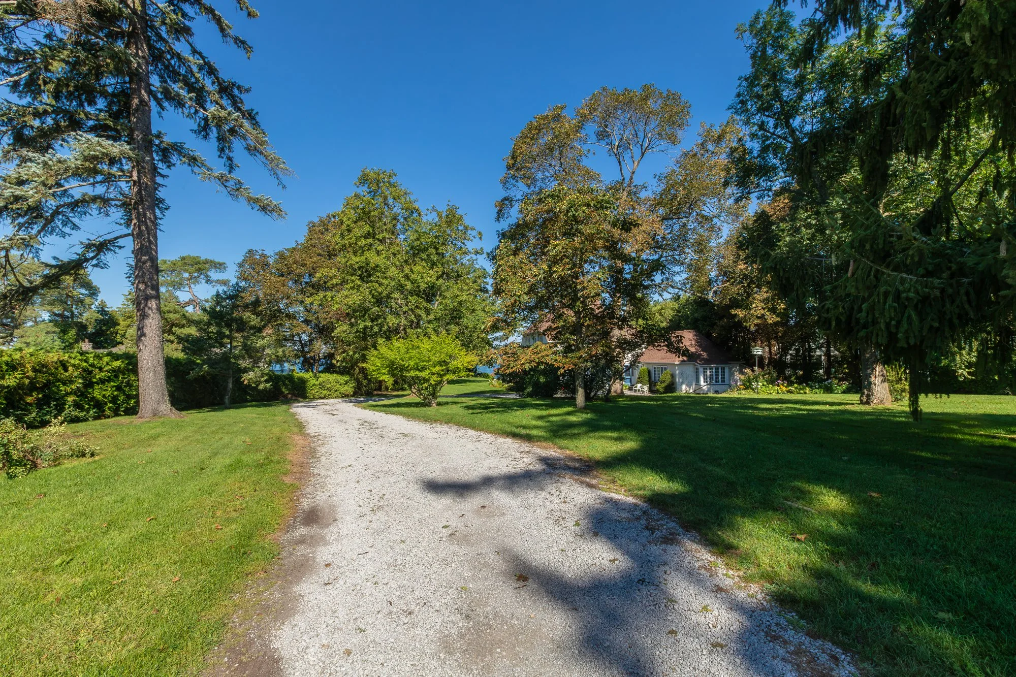 724 Lake Drive North - Summer Update-2.jpg