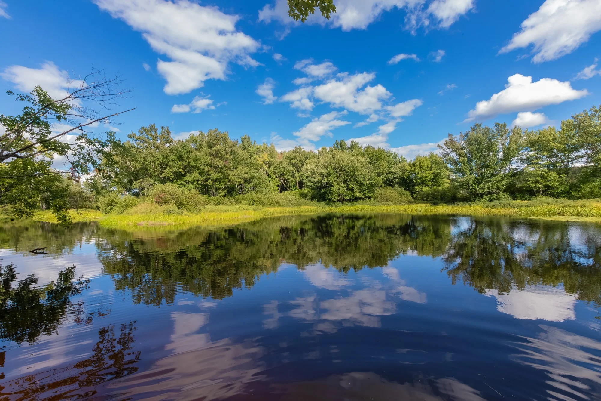 1547 North Pickerel Lake Road, Burk's Falls-37.jpg