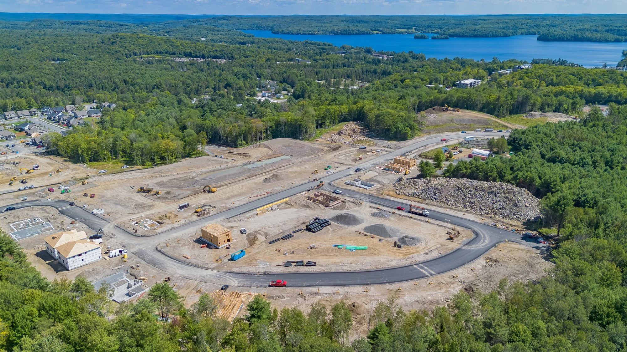 MuskokaForest-5.jpg