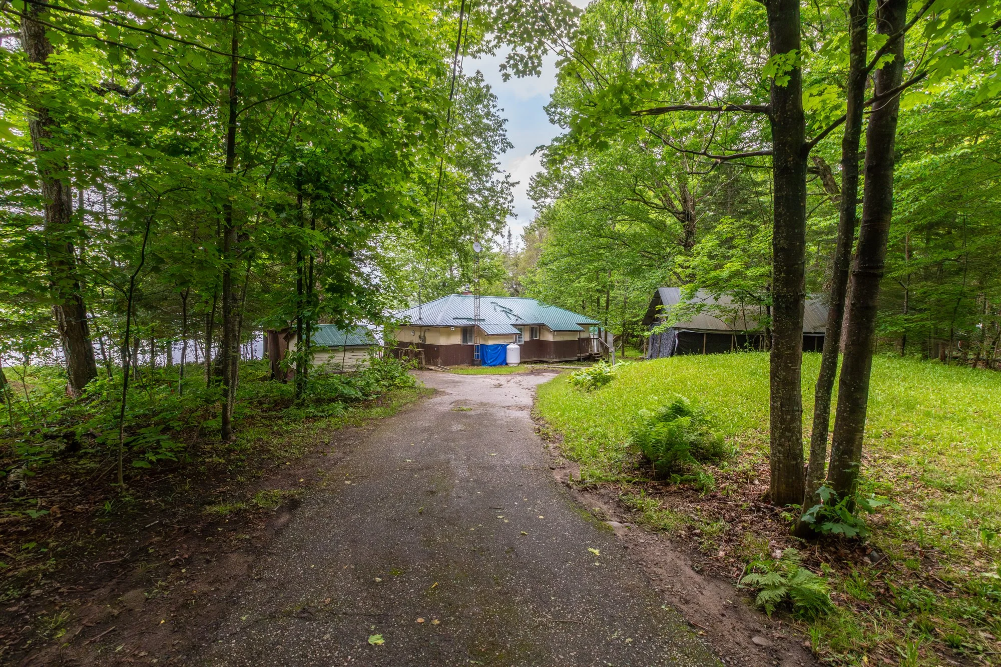 339 Sunnylea Avenue, Katrine-1.jpg