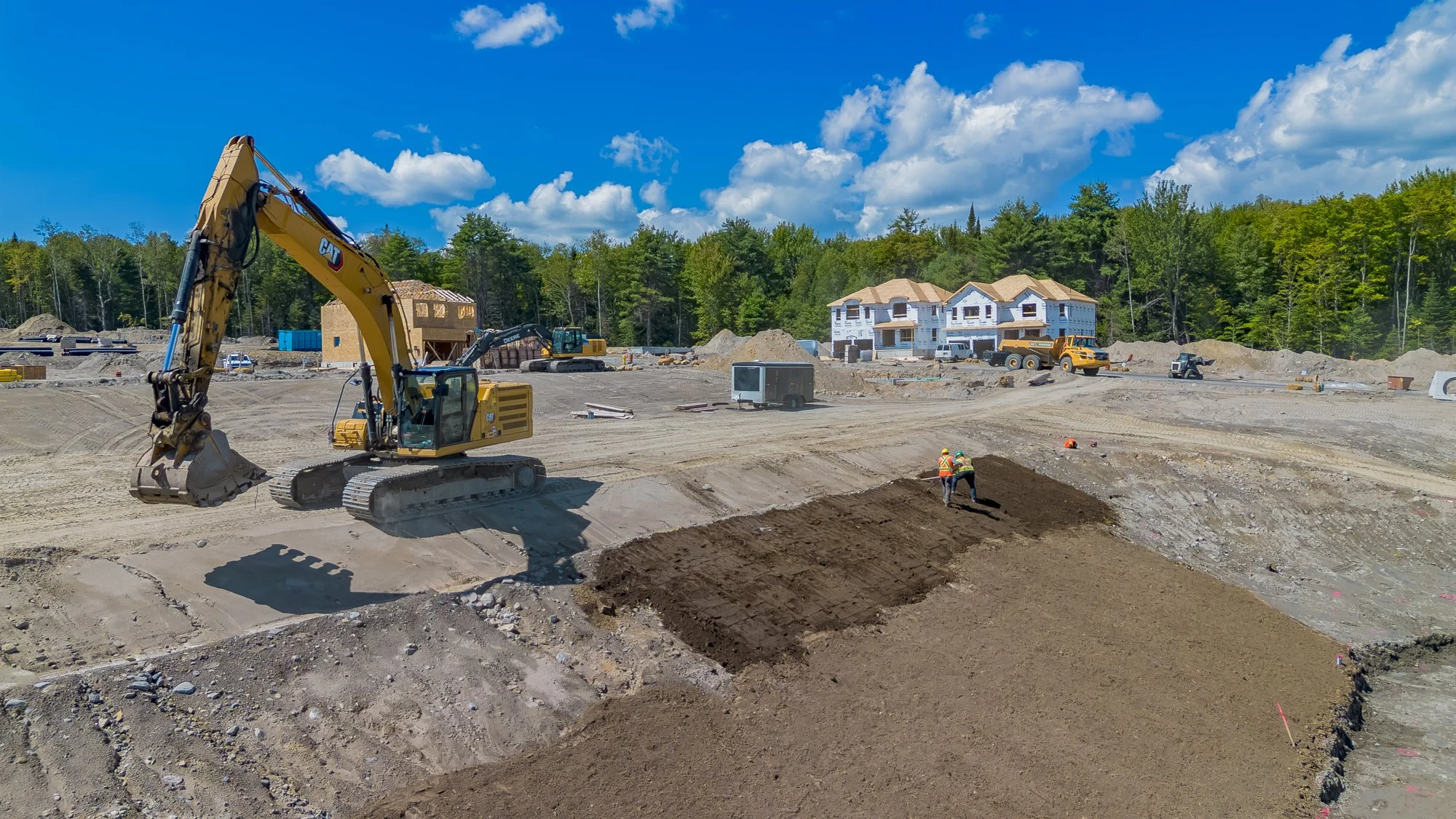 MuskokaForest-7.jpg