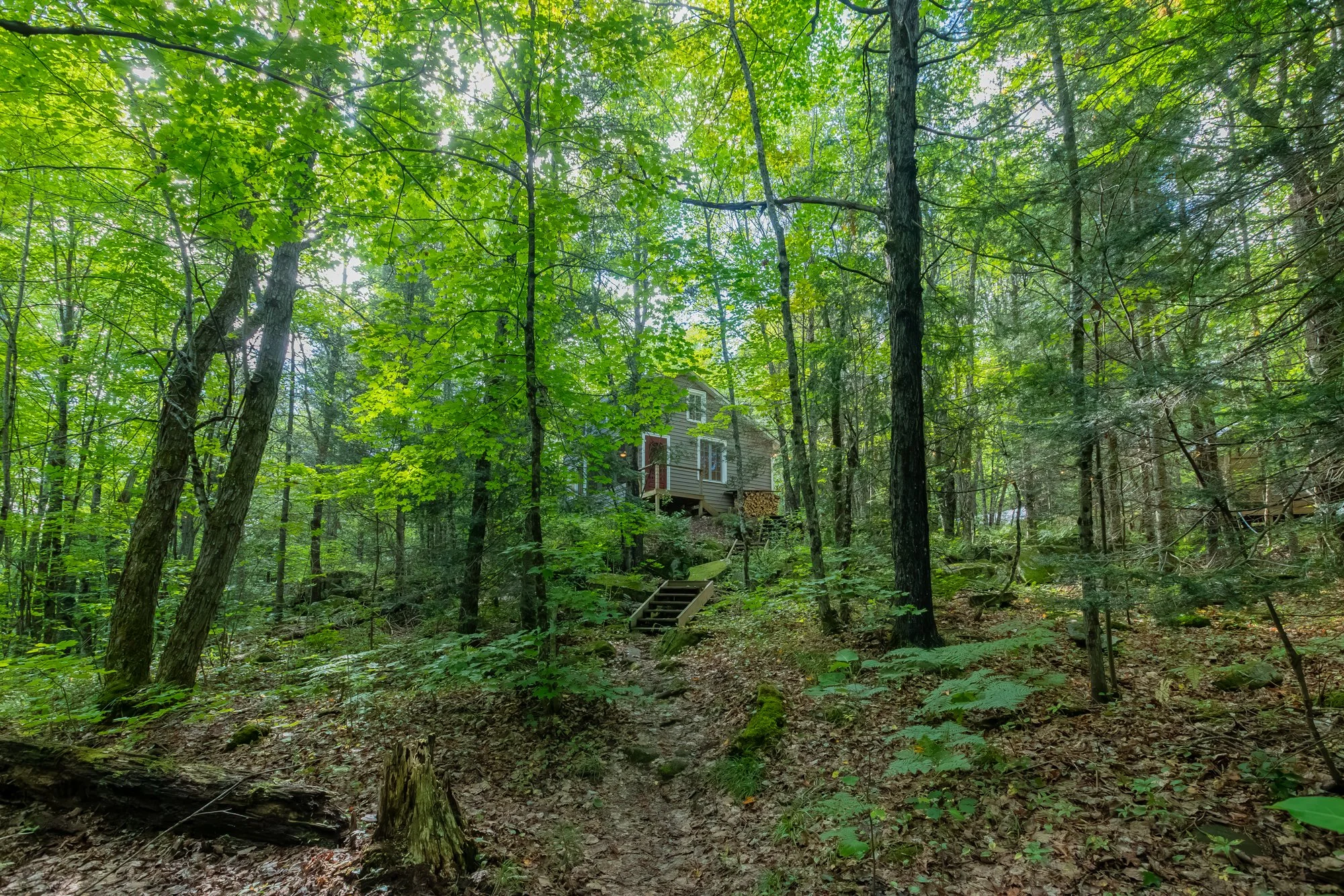 1547 North Pickerel Lake Road, Burk's Falls-28.jpg