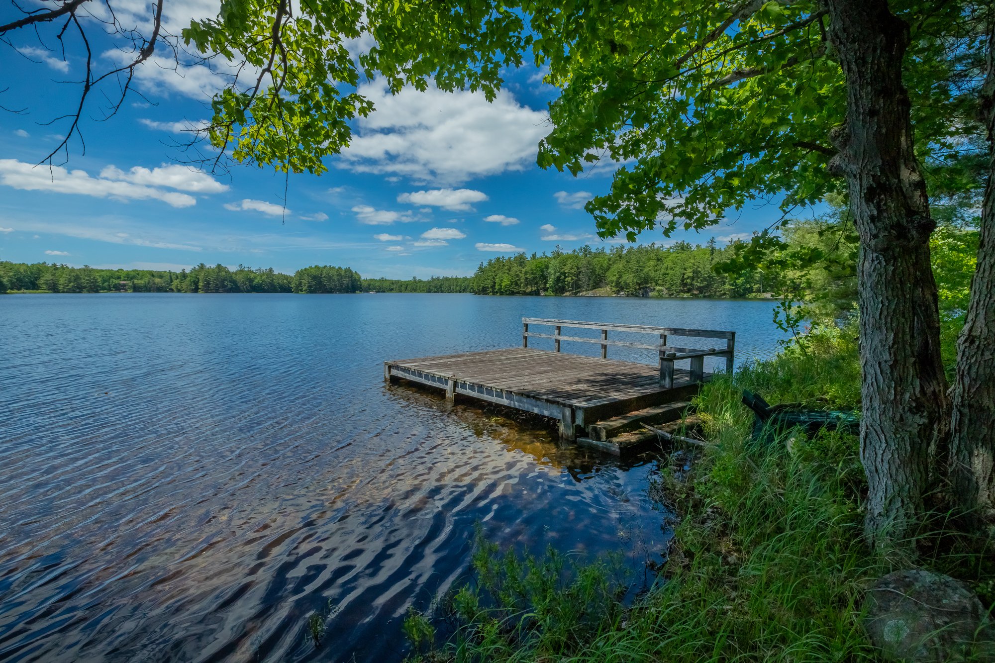 1077 Misty Lane, Gravenhurst-82.jpg