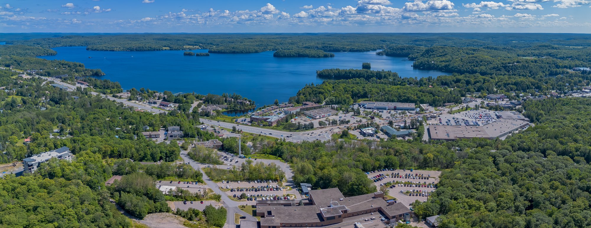 MuskokaForest-18.jpg