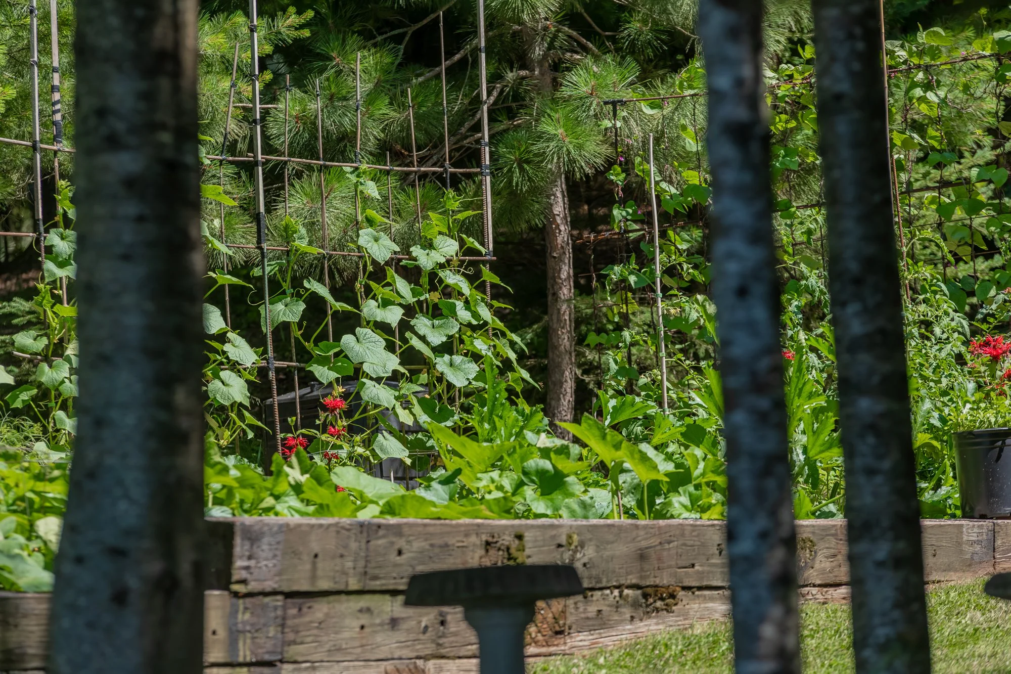 78 Jeffrey Road, Township of Lount-126.jpg