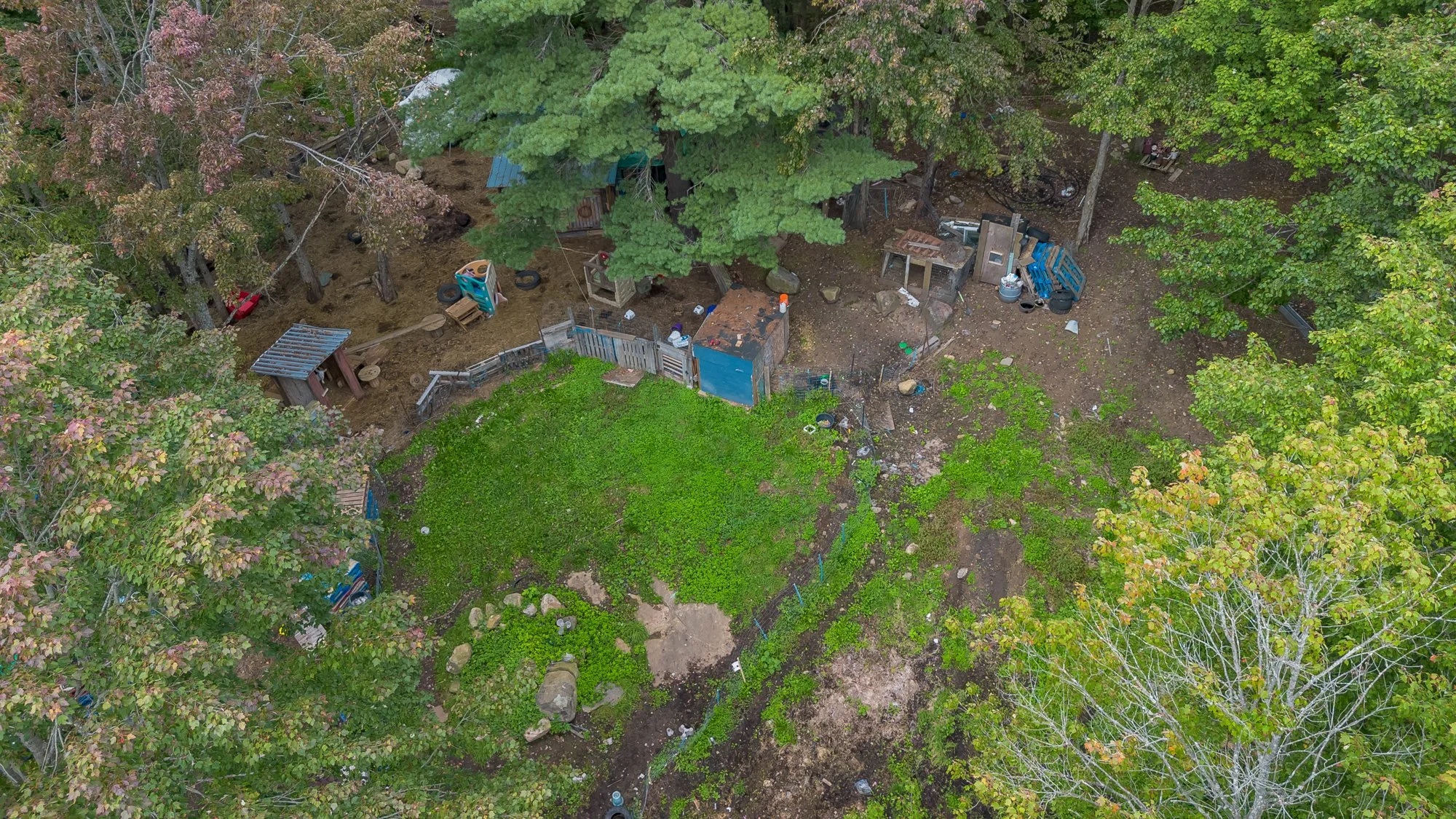 42 Morgan's Road, Huntsville-82.jpg