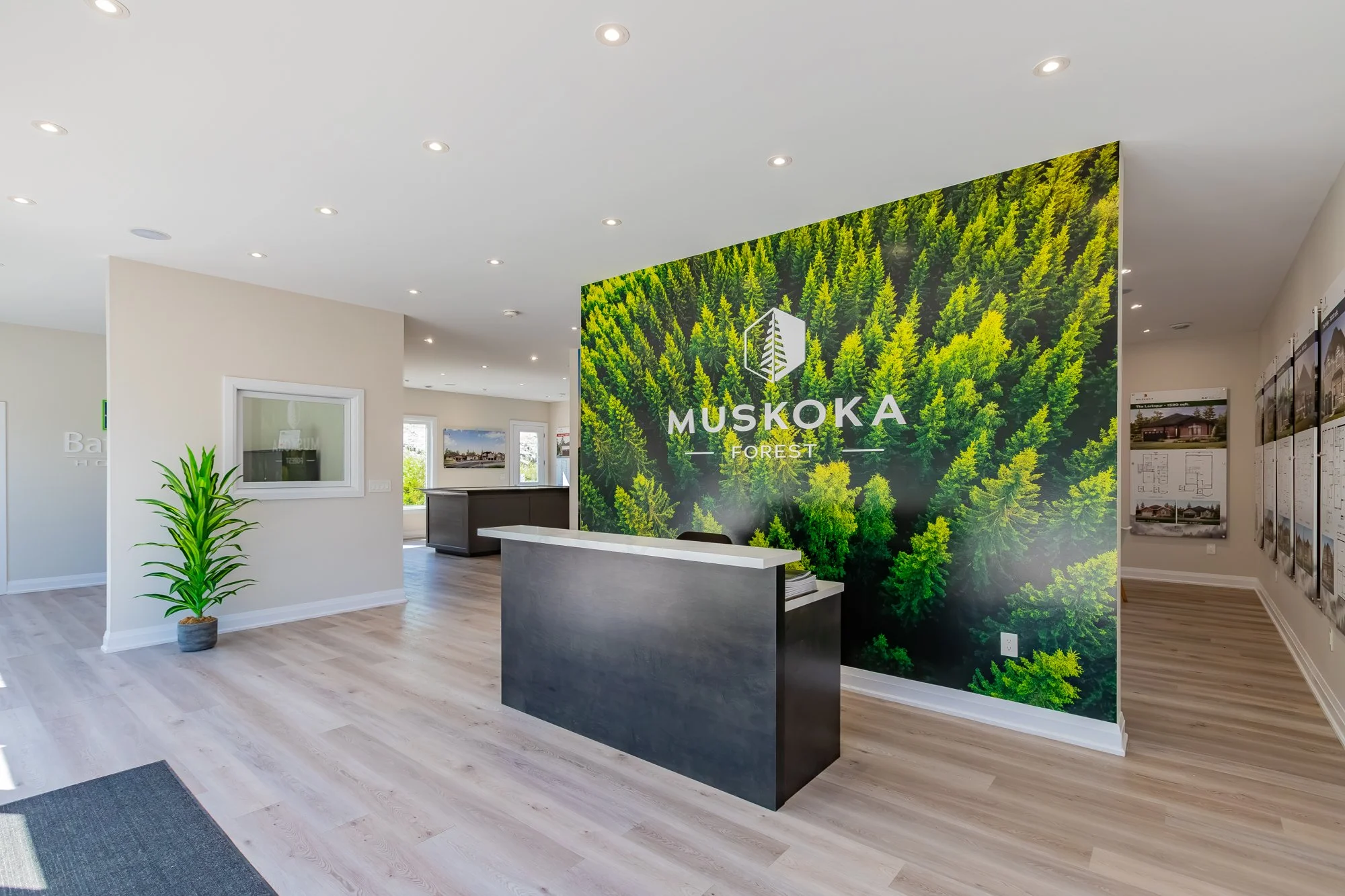 MuskokaForest-30.jpg