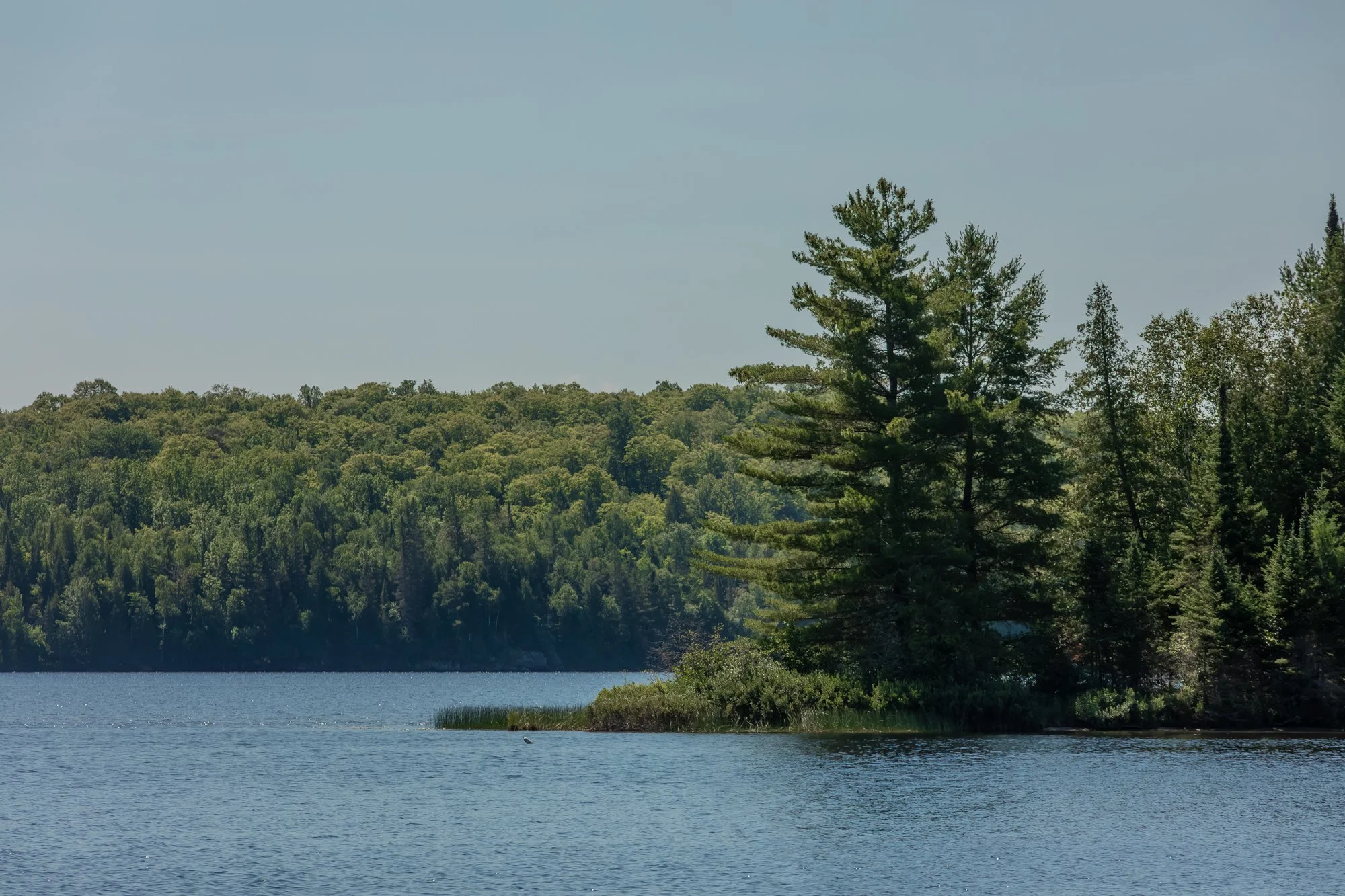78 Jeffrey Road, Township of Lount-118.jpg
