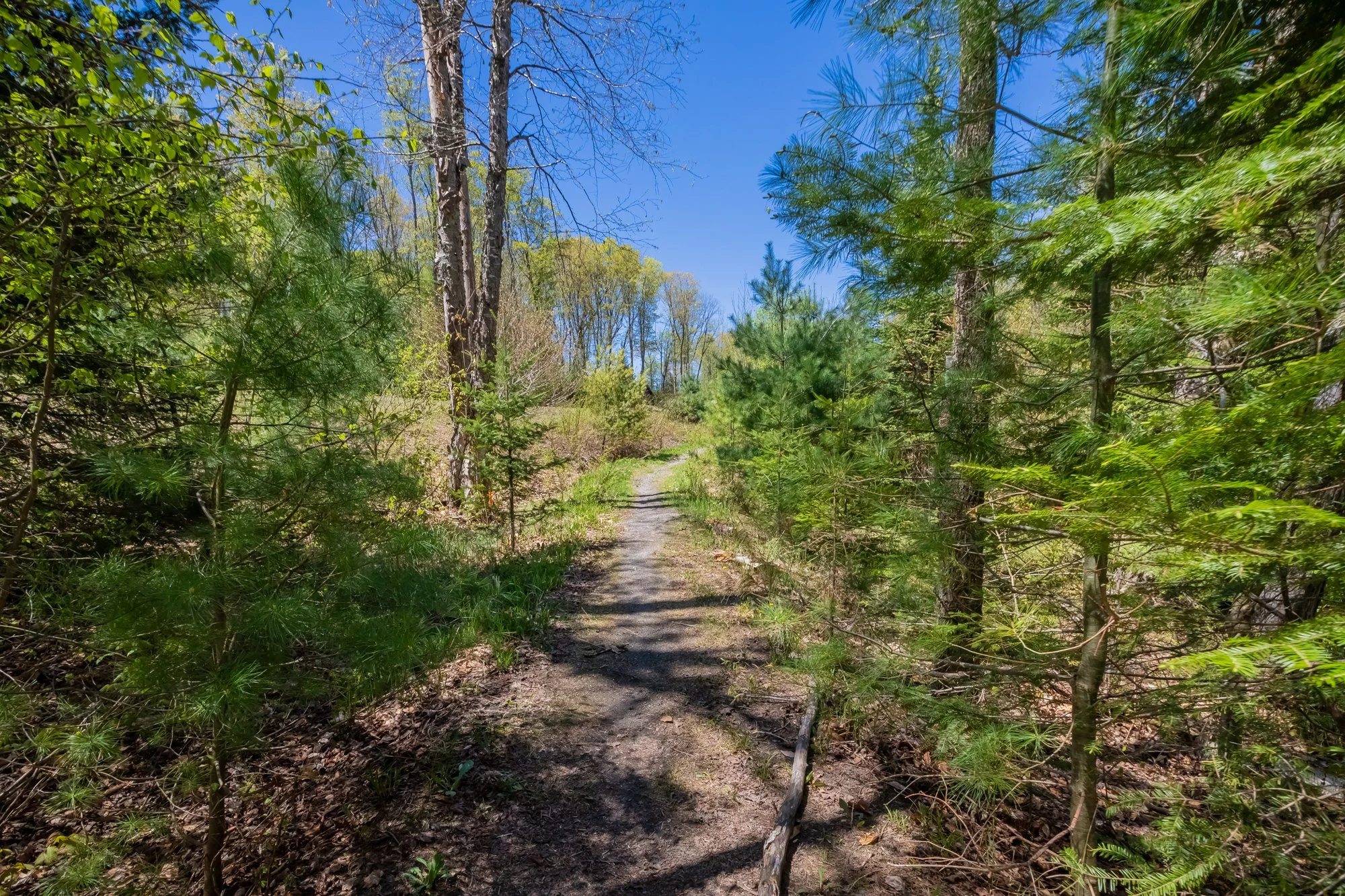 29 Nature's Way, Huntsville-156.jpg