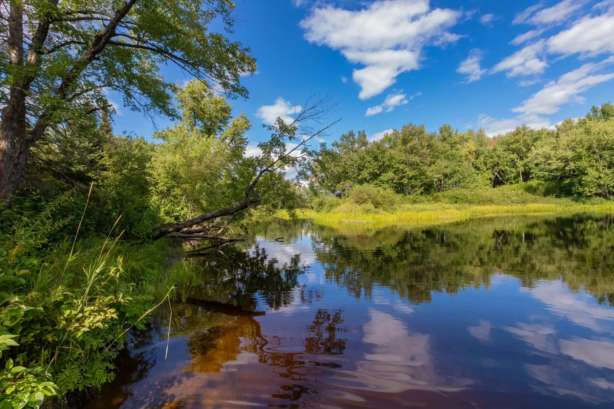 1547 North Pickerel Lake Road, Burk's Falls-36.jpg