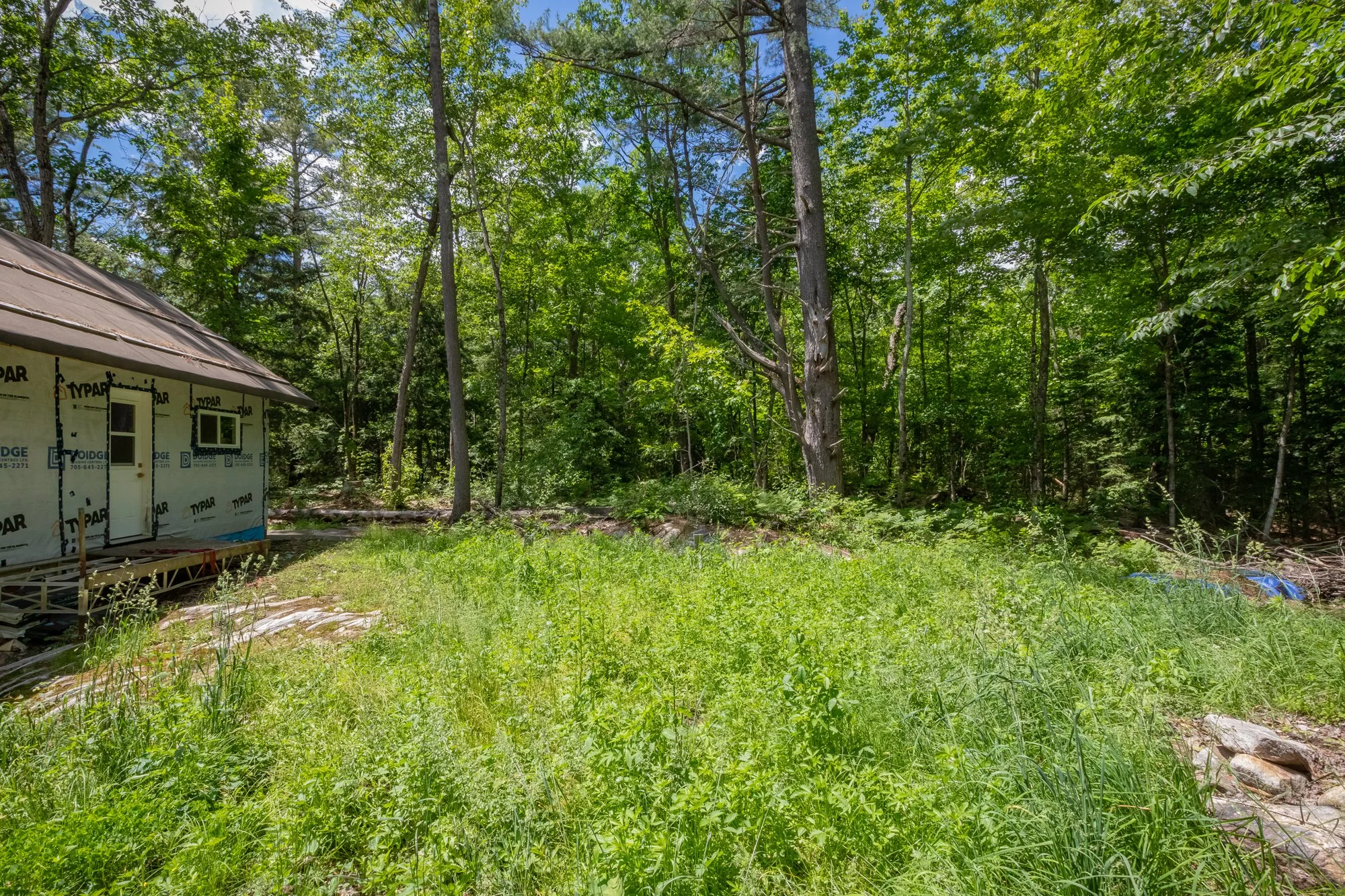 1219 Medora Lake Road, Bala-20.jpg