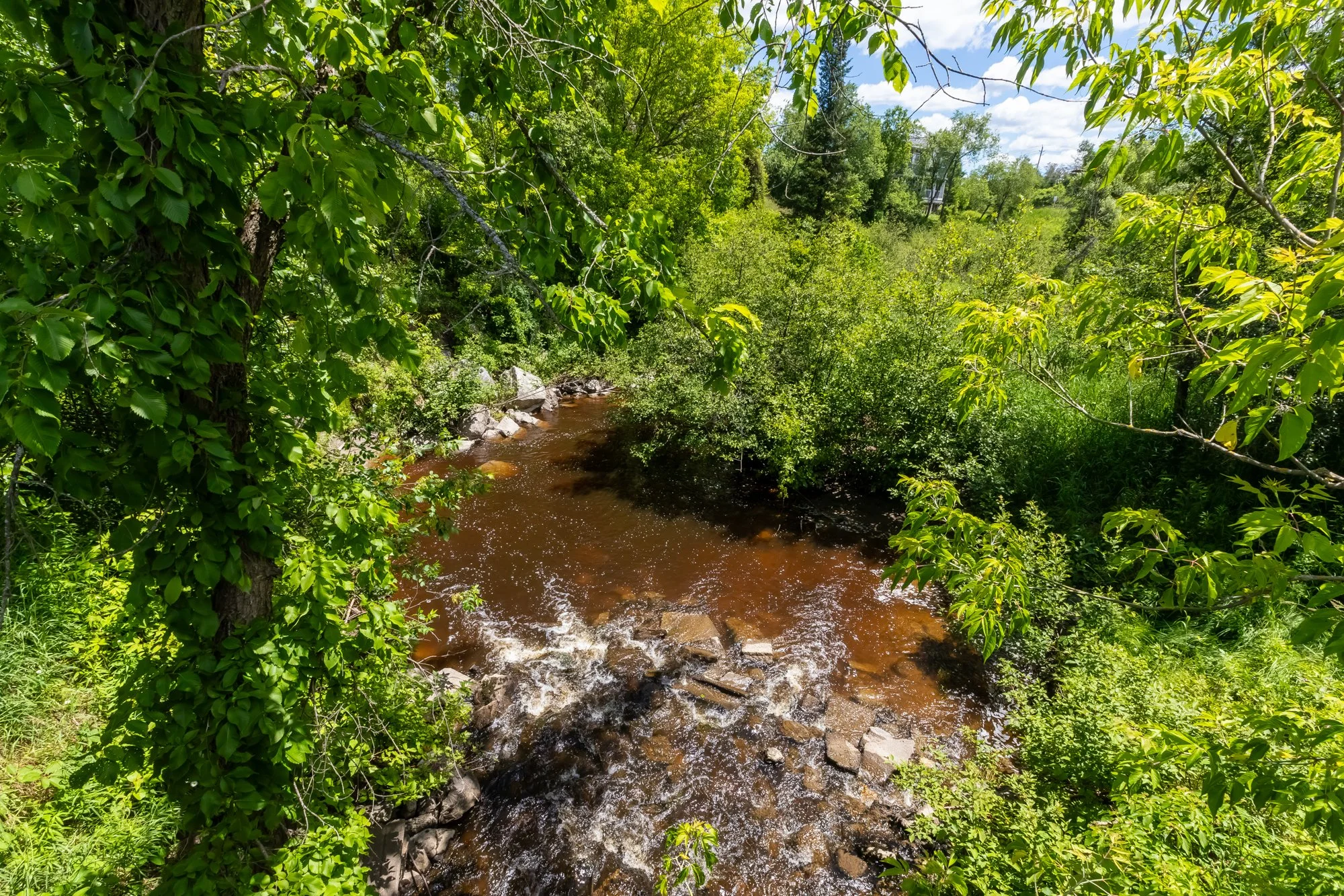 551 Highway 118 West, Bracebridge-5.jpg