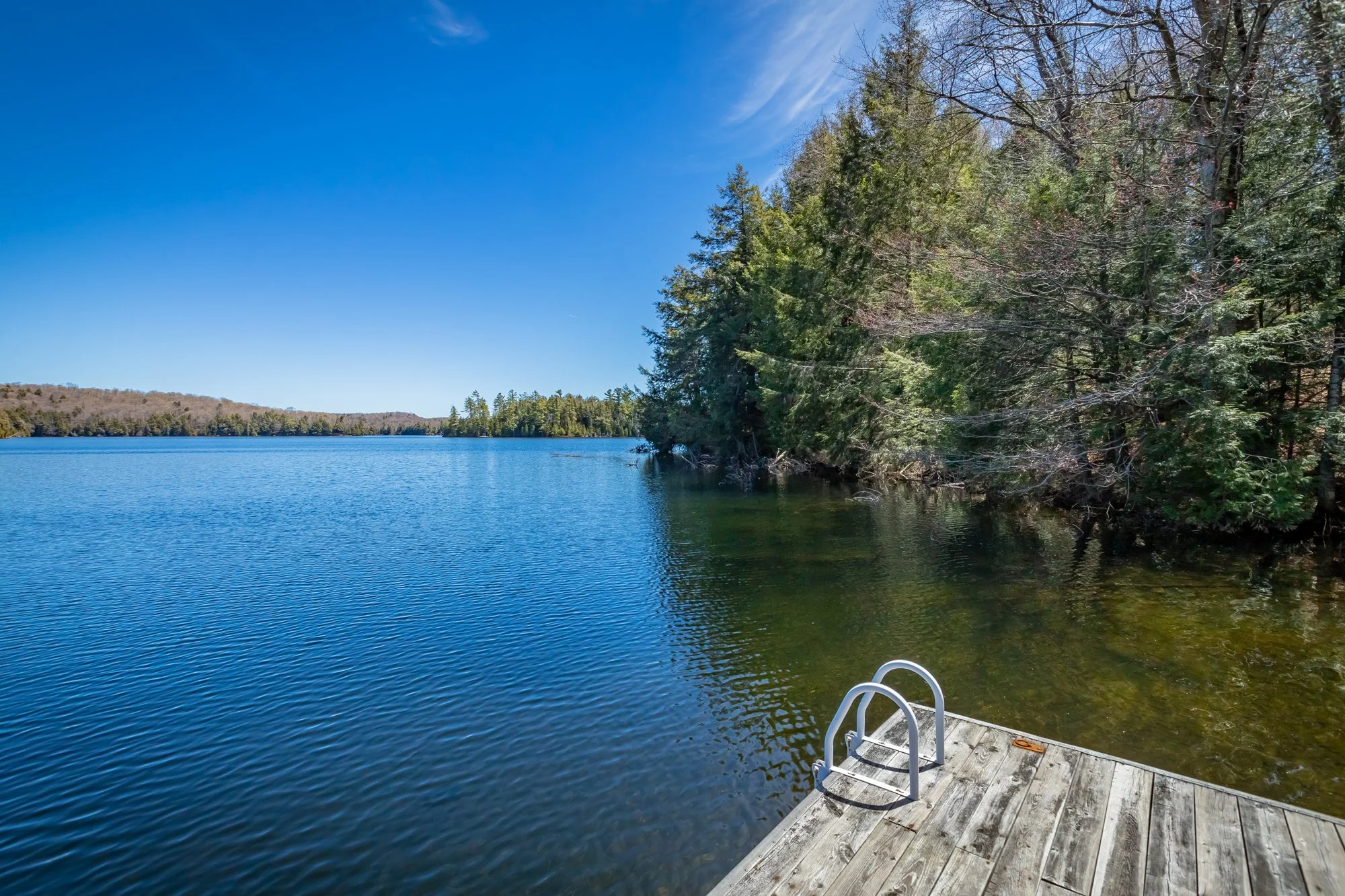 1113 Crobiel Lake Drive, Dorset-54.jpg