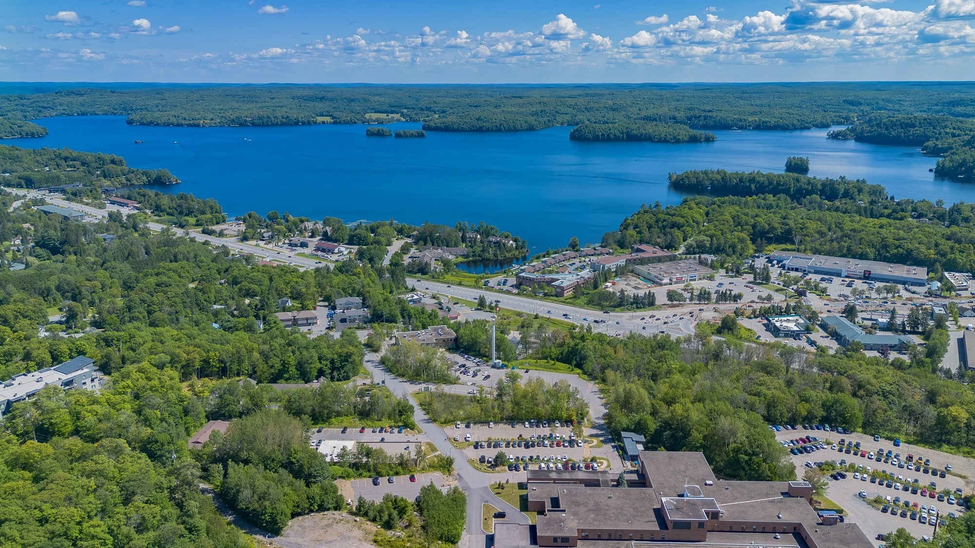 MuskokaForest-16.jpg