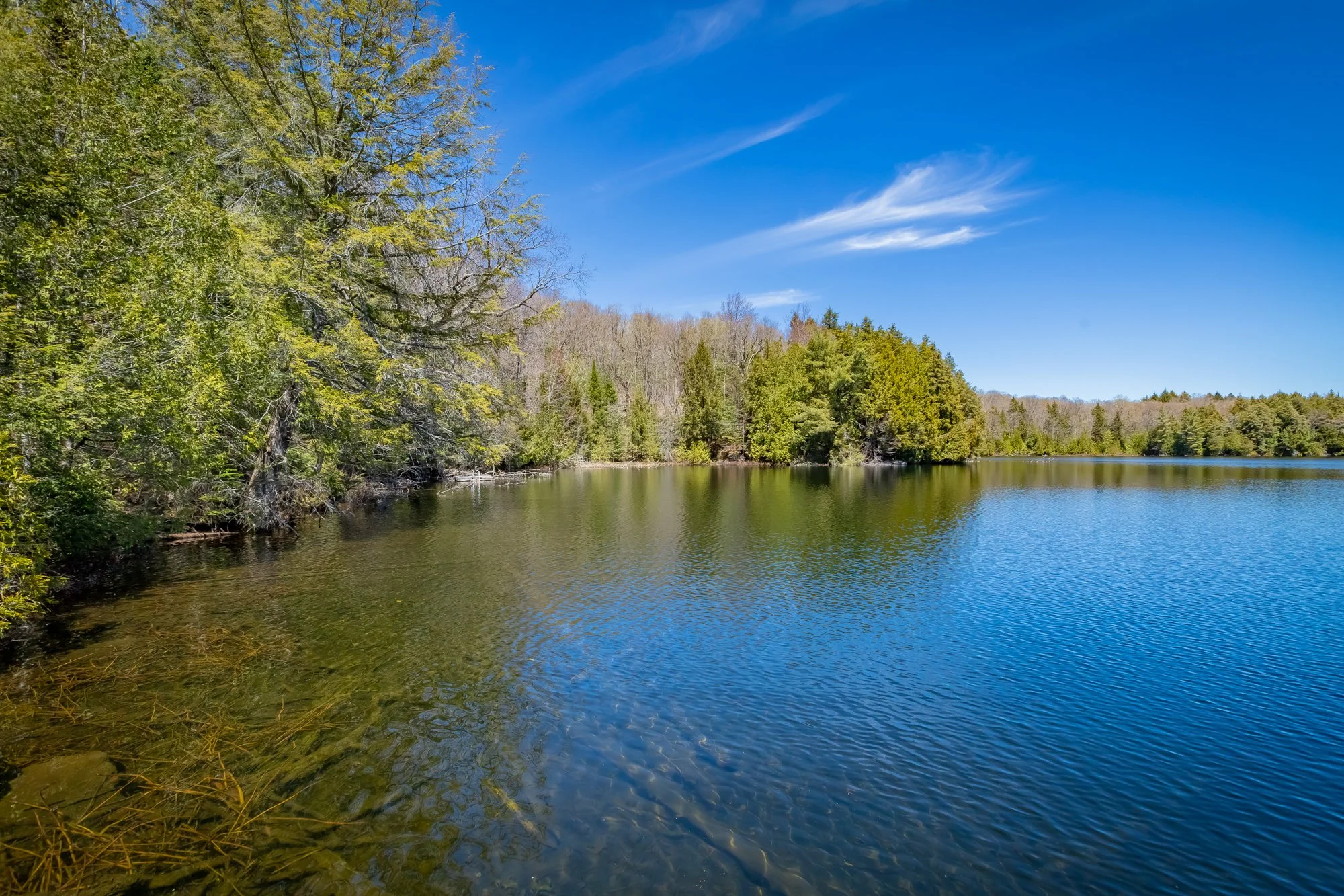 1113 Crobiel Lake Drive, Dorset-53.jpg