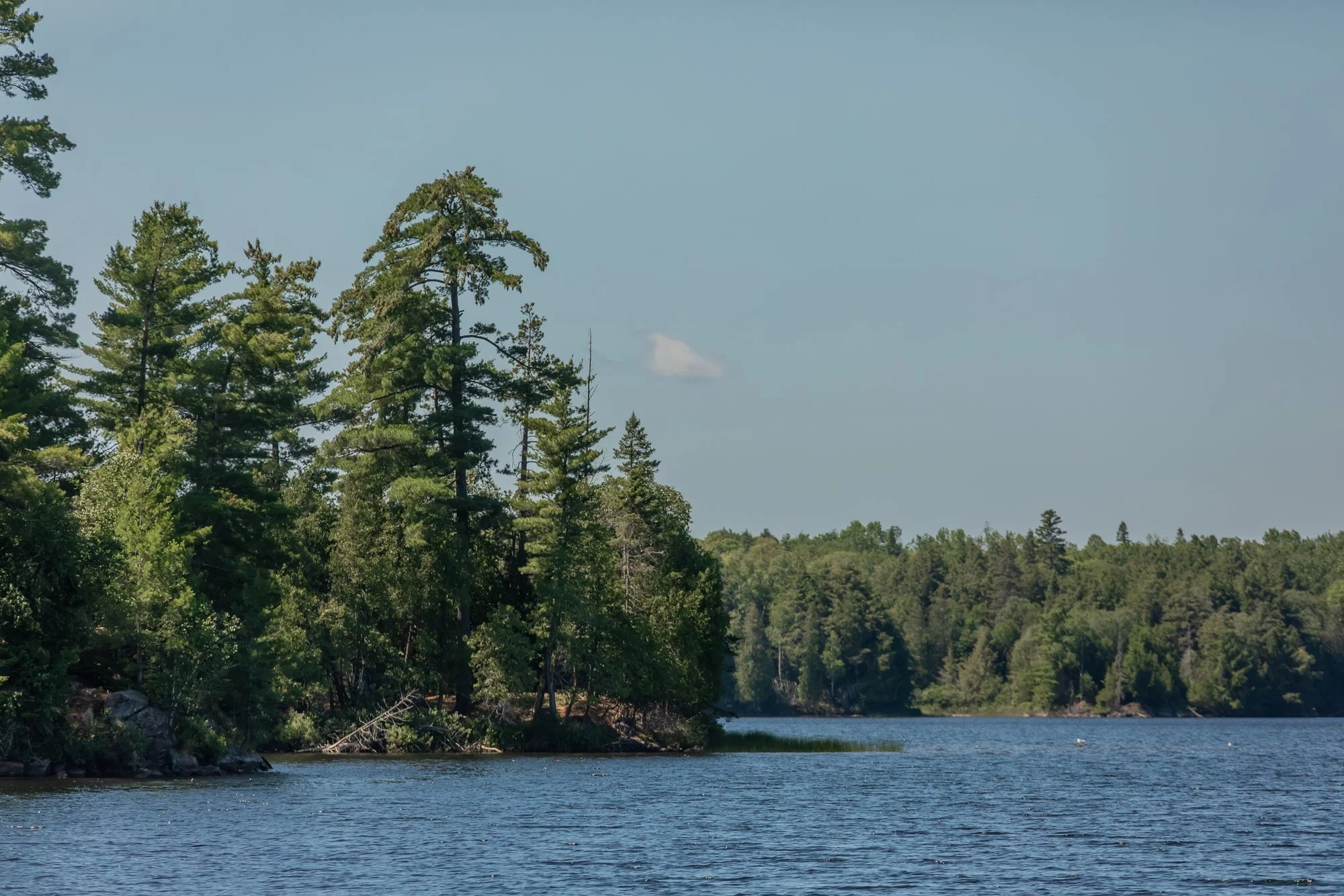 78 Jeffrey Road, Township of Lount-119.jpg