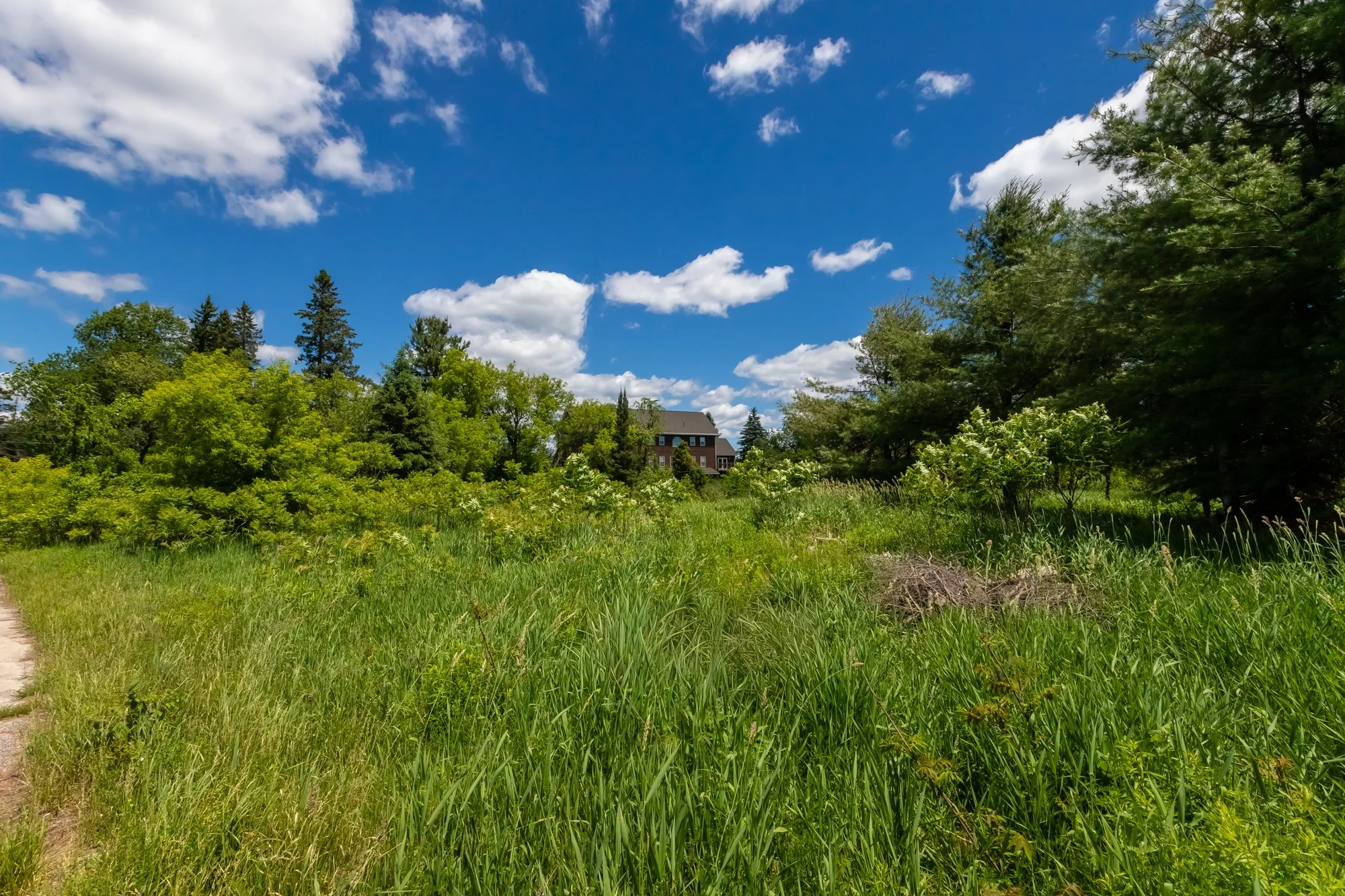 551 Highway 118 West, Bracebridge-15.jpg