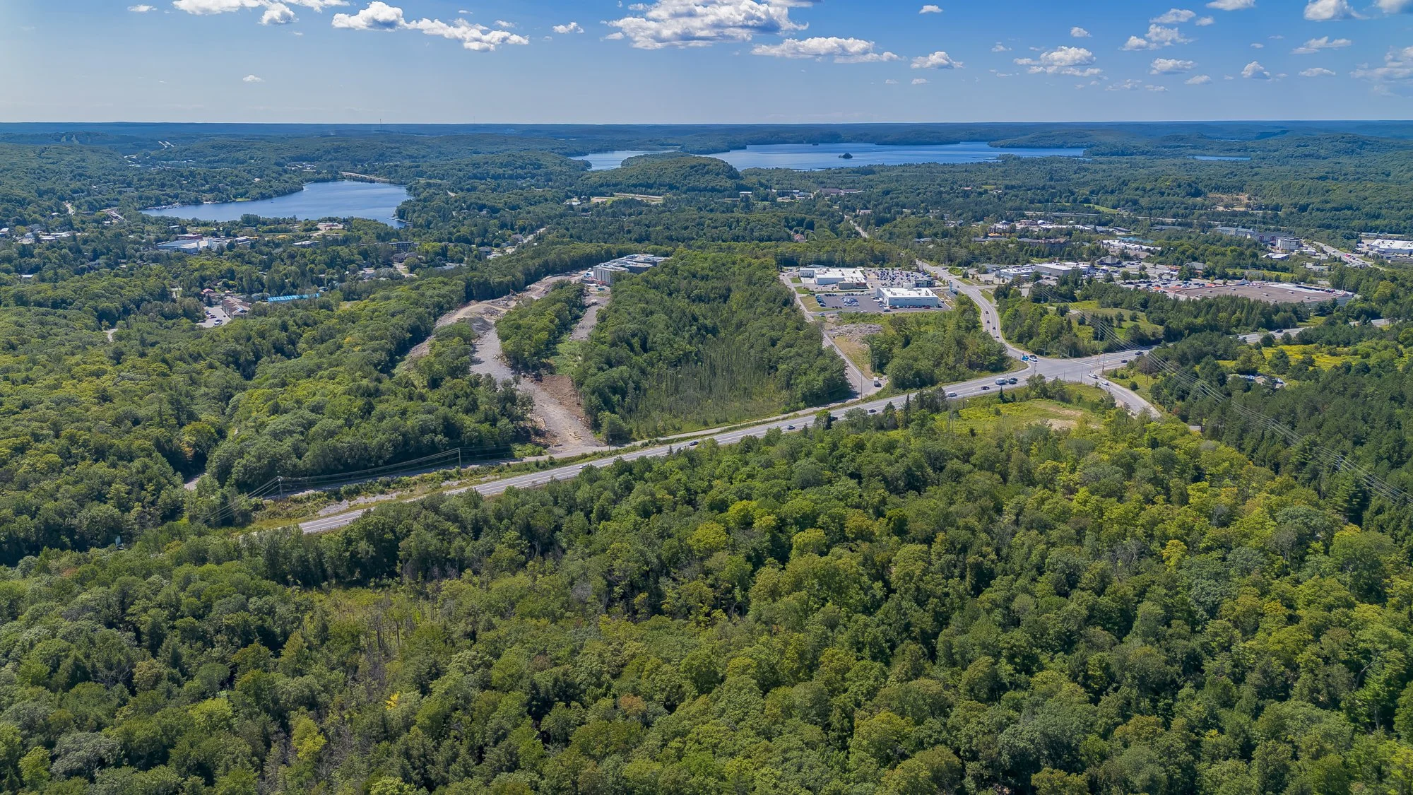 MuskokaForest-14.jpg