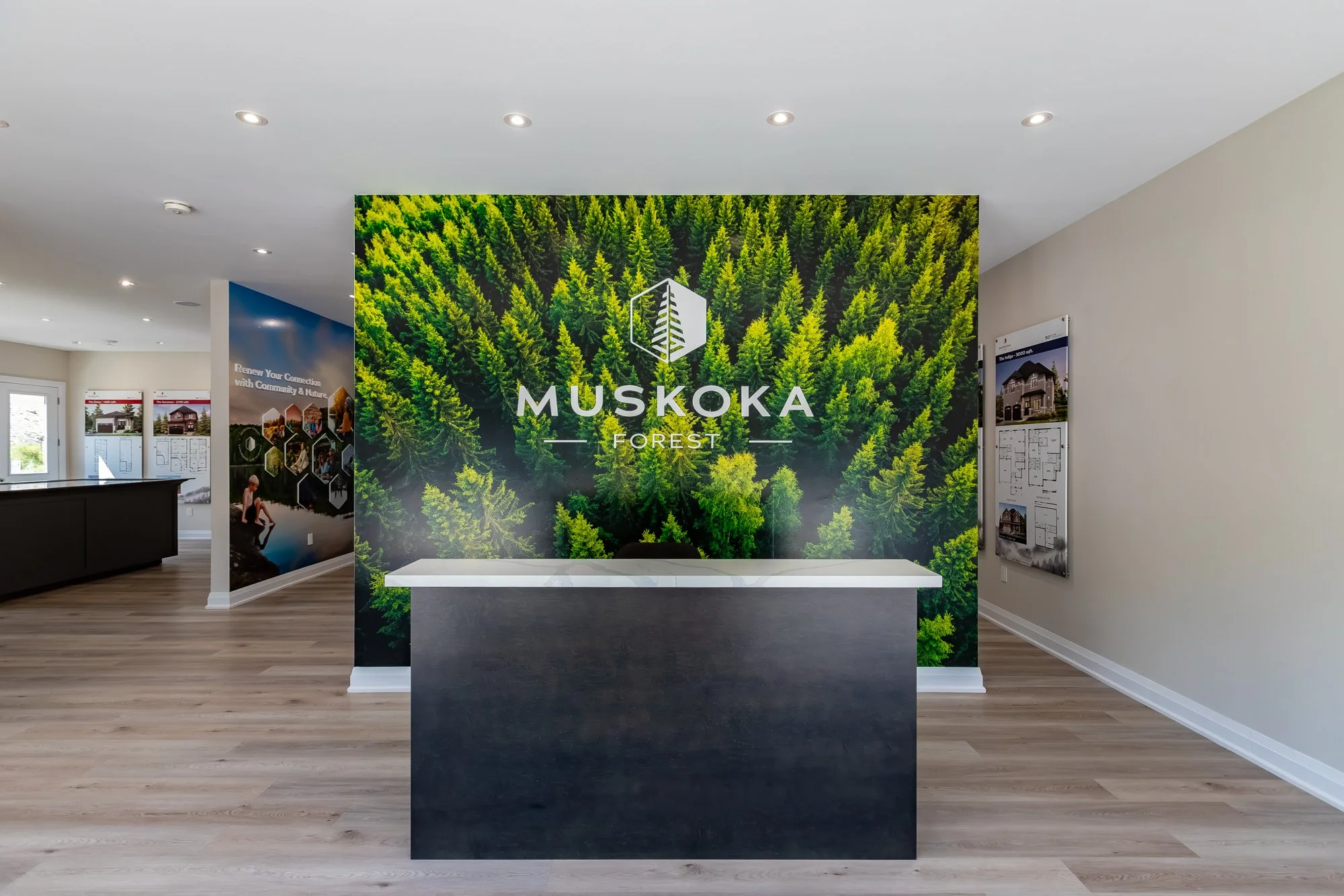 MuskokaForest-33.jpg