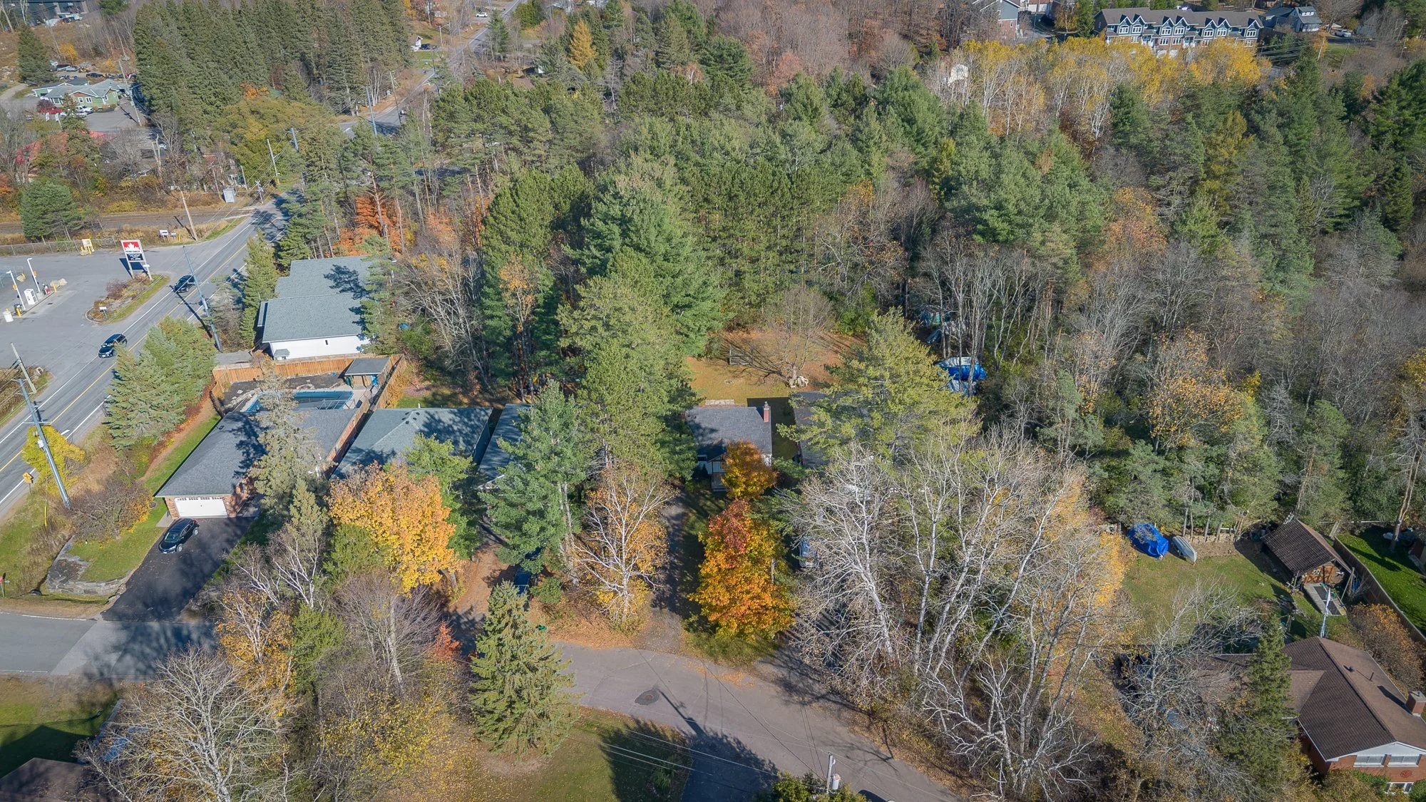 51 Gouldie Street, Huntsville-68.jpg