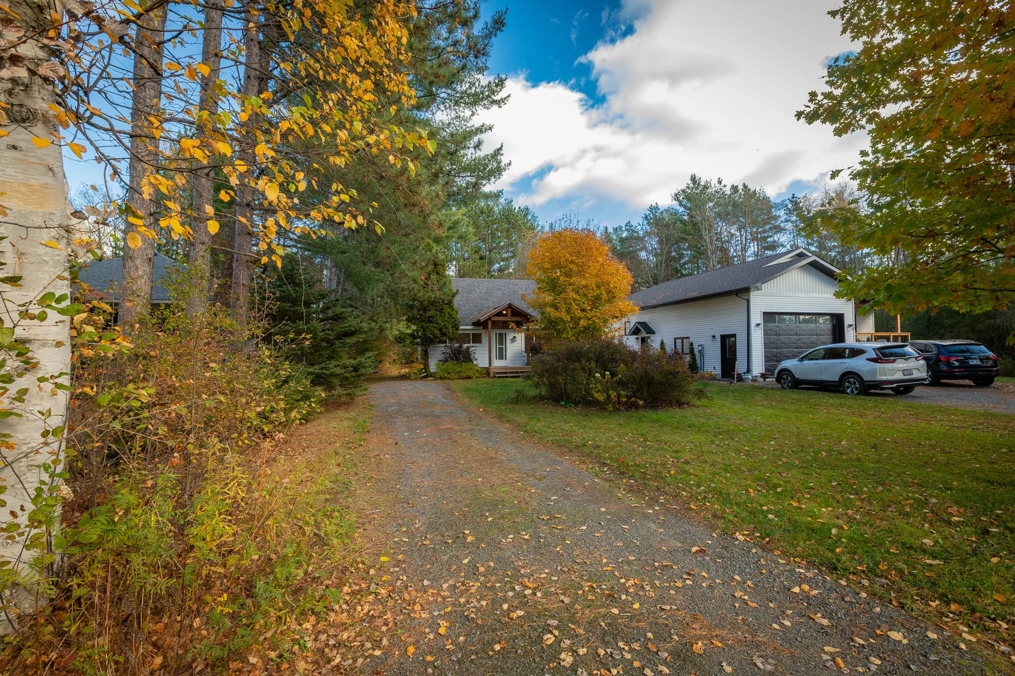 51 Gouldie Street, Huntsville-3.jpg