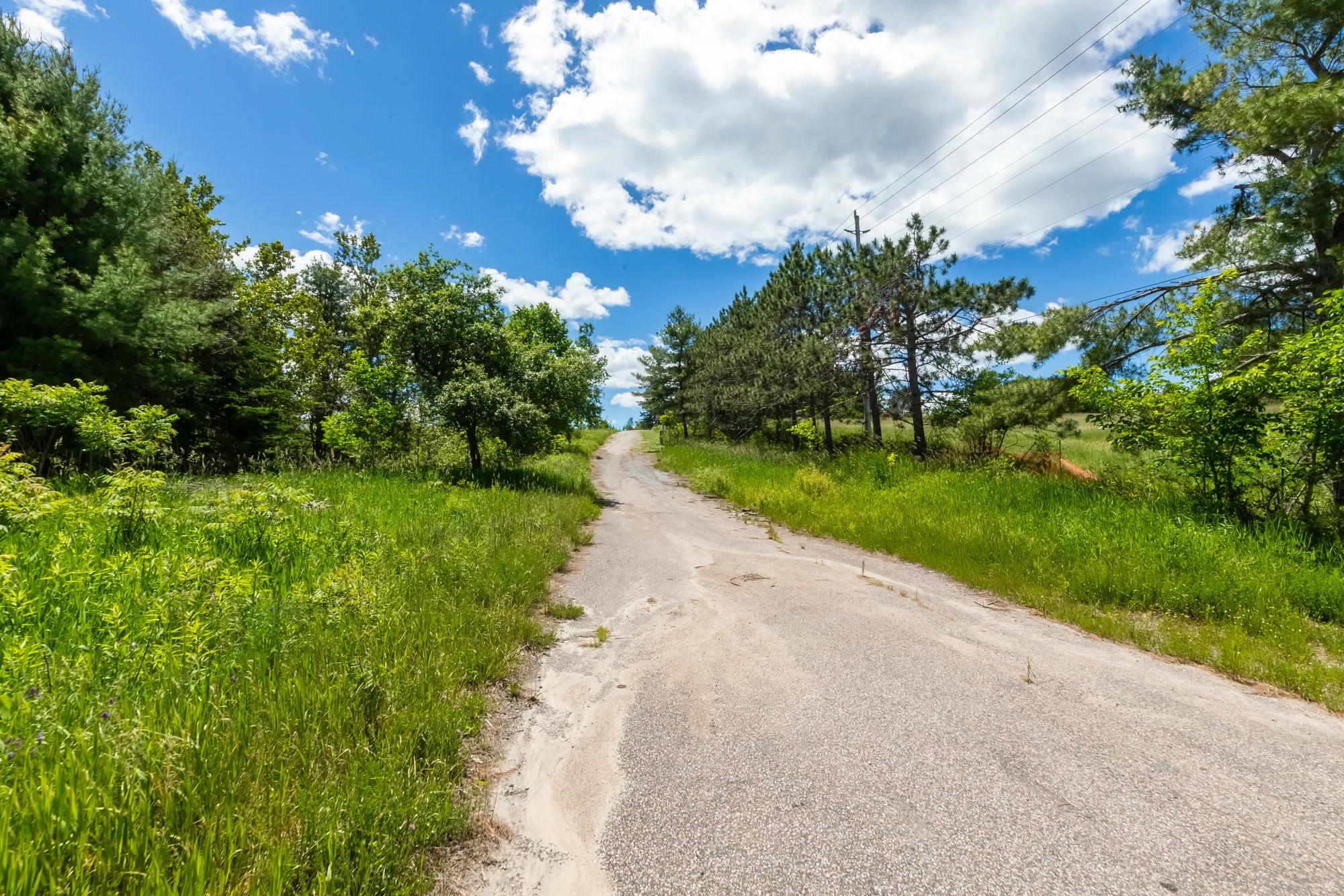 551 Highway 118 West, Bracebridge-7.jpg