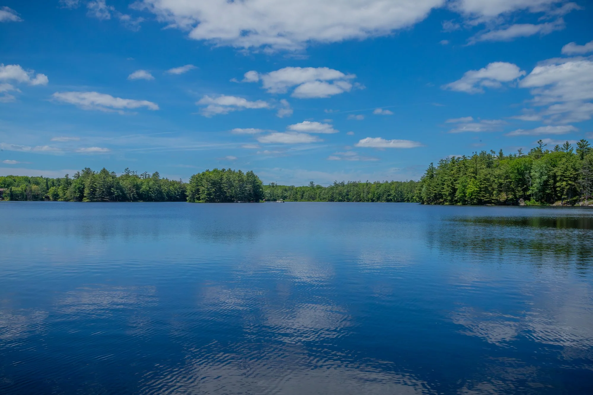 1077 Misty Lane, Gravenhurst-73.jpg