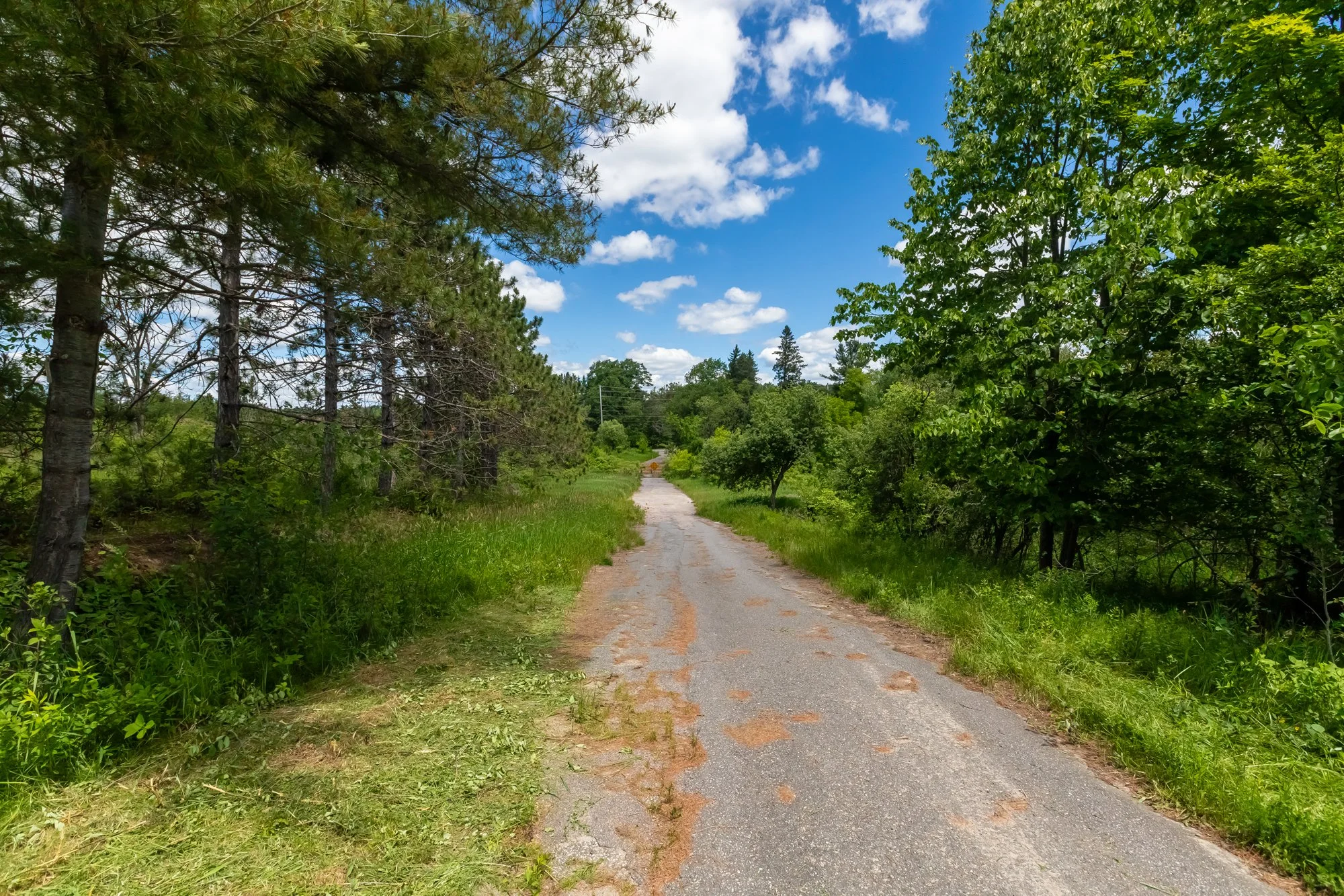 551 Highway 118 West, Bracebridge-12.jpg