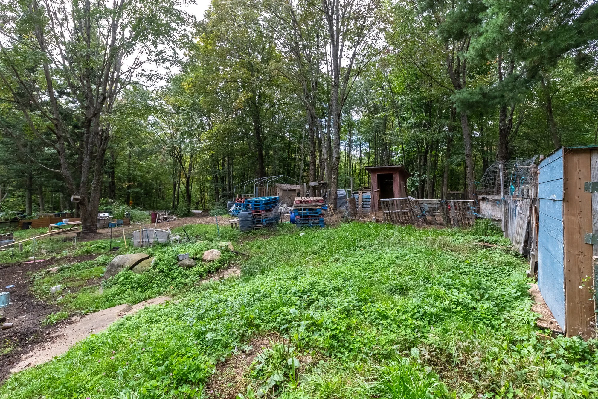 42 Morgan's Road, Huntsville-49.jpg