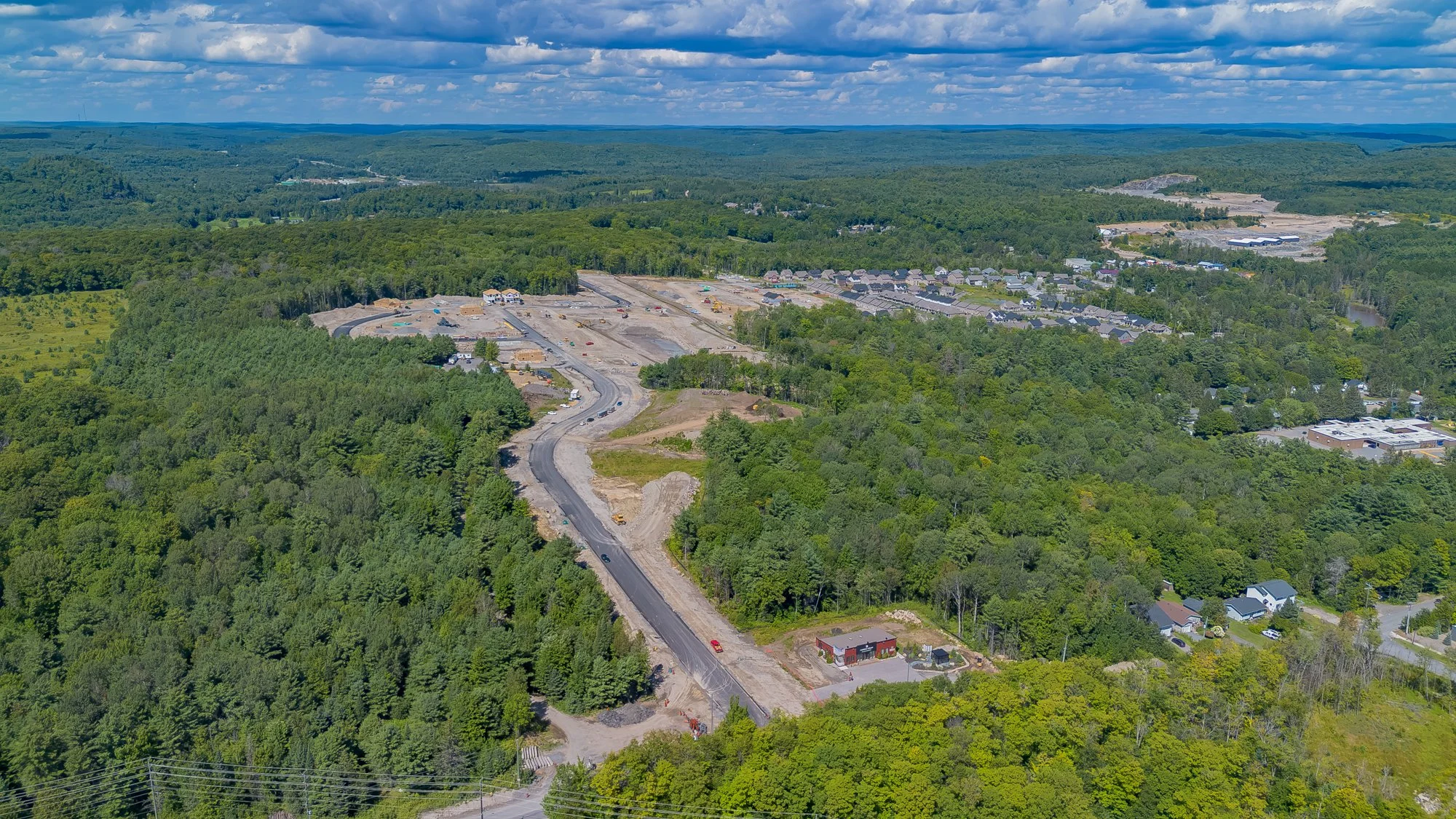 MuskokaForest-13.jpg