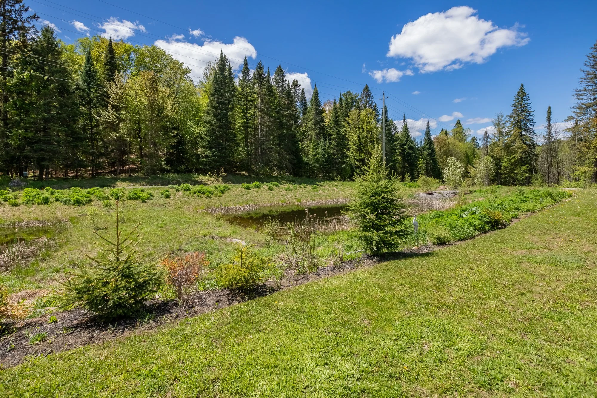 36 Spalding Crescent, Huntsville-25.jpg