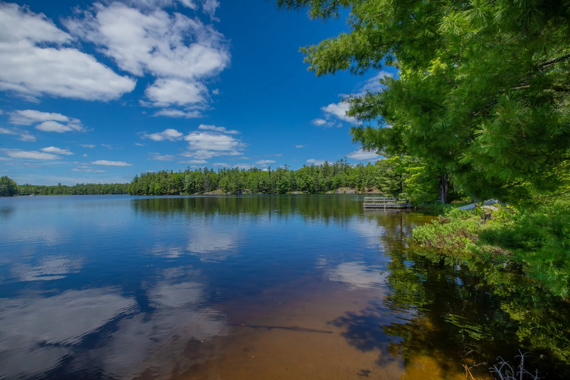 1077 Misty Lane, Gravenhurst-67.jpg