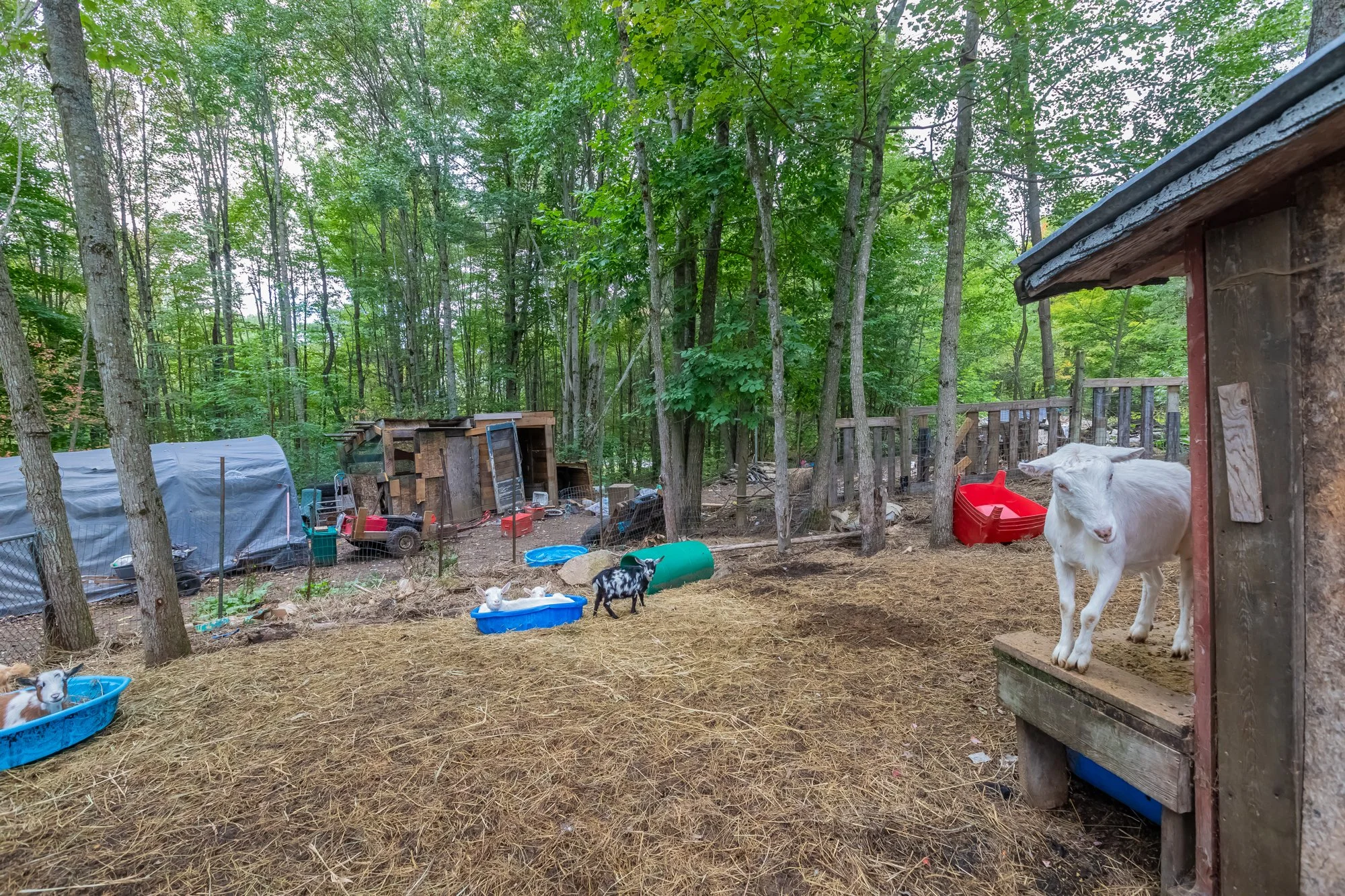 42 Morgan's Road, Huntsville-17.jpg