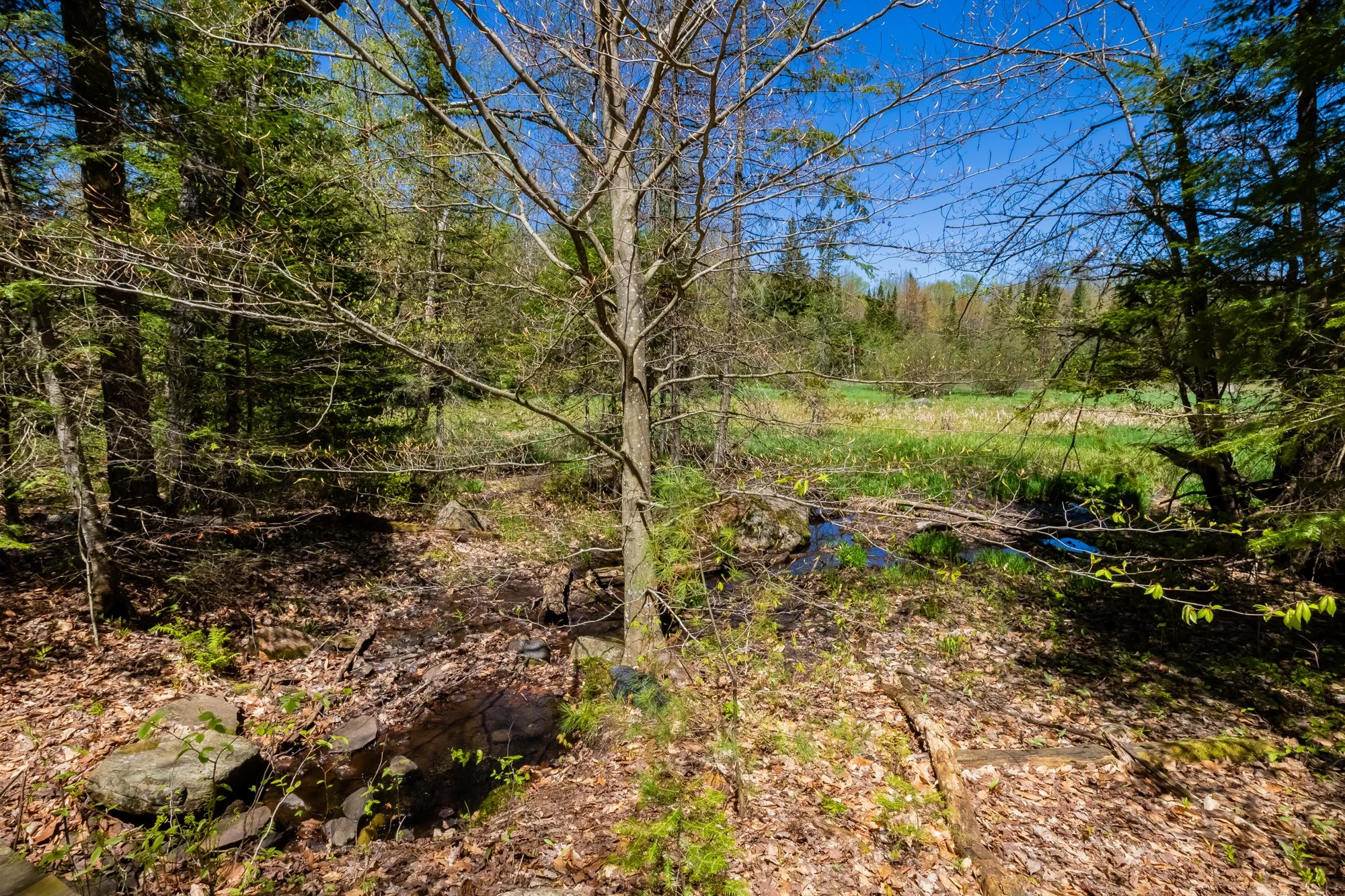 29 Nature's Way, Huntsville-155.jpg