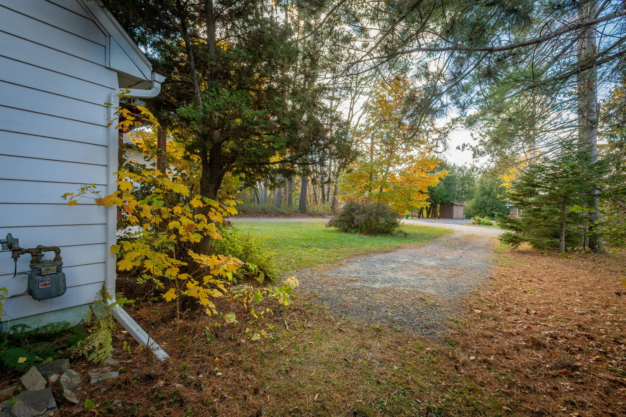 51 Gouldie Street, Huntsville-21.jpg