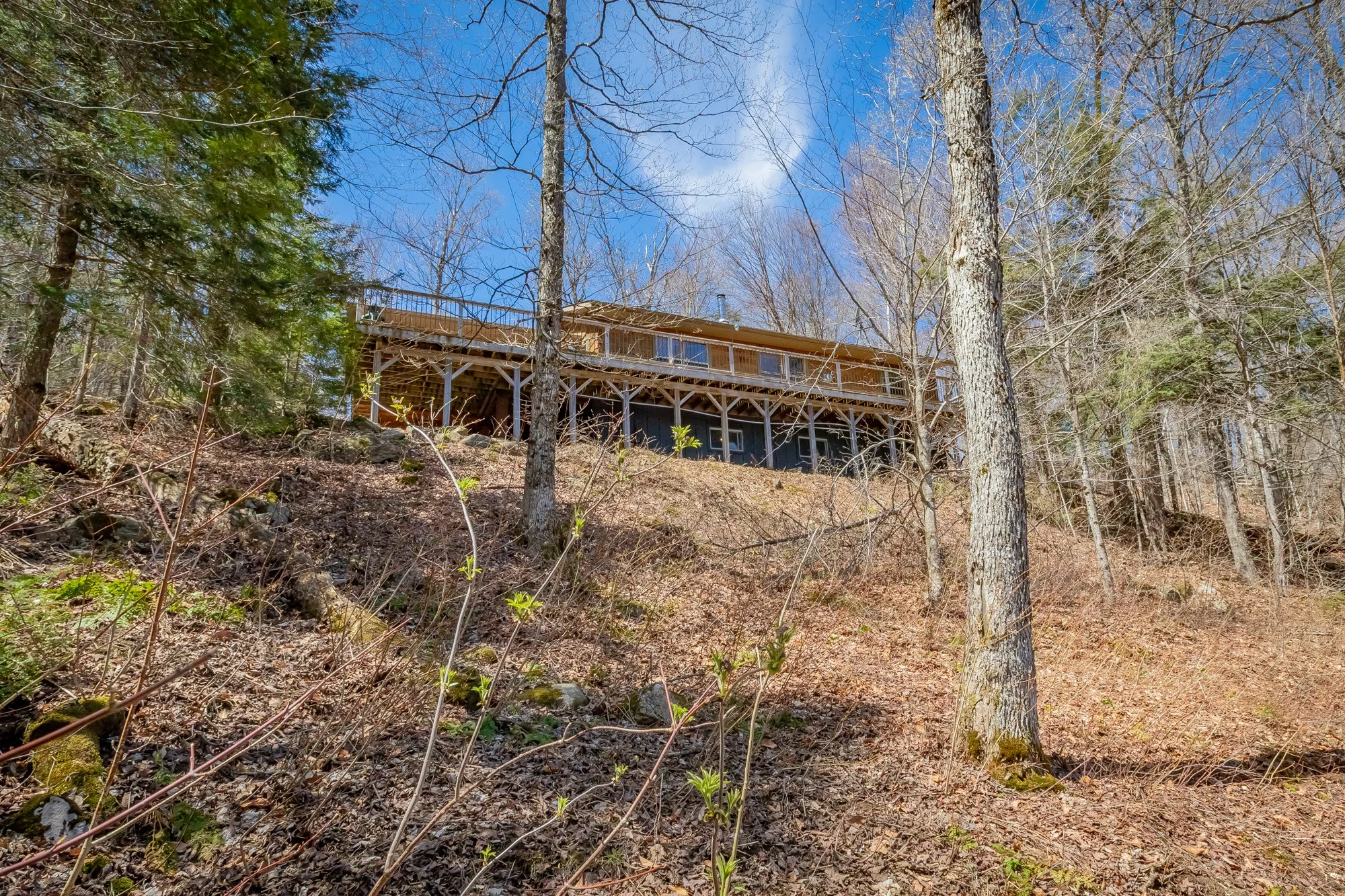 1113 Crobiel Lake Drive, Dorset-46.jpg