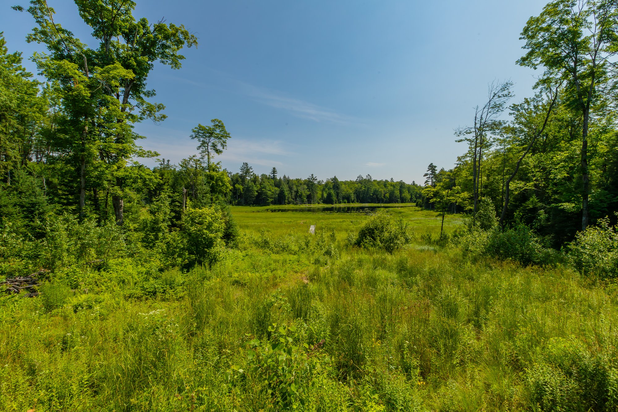 1289 Purbrook Road, Bracebridge-36.jpg