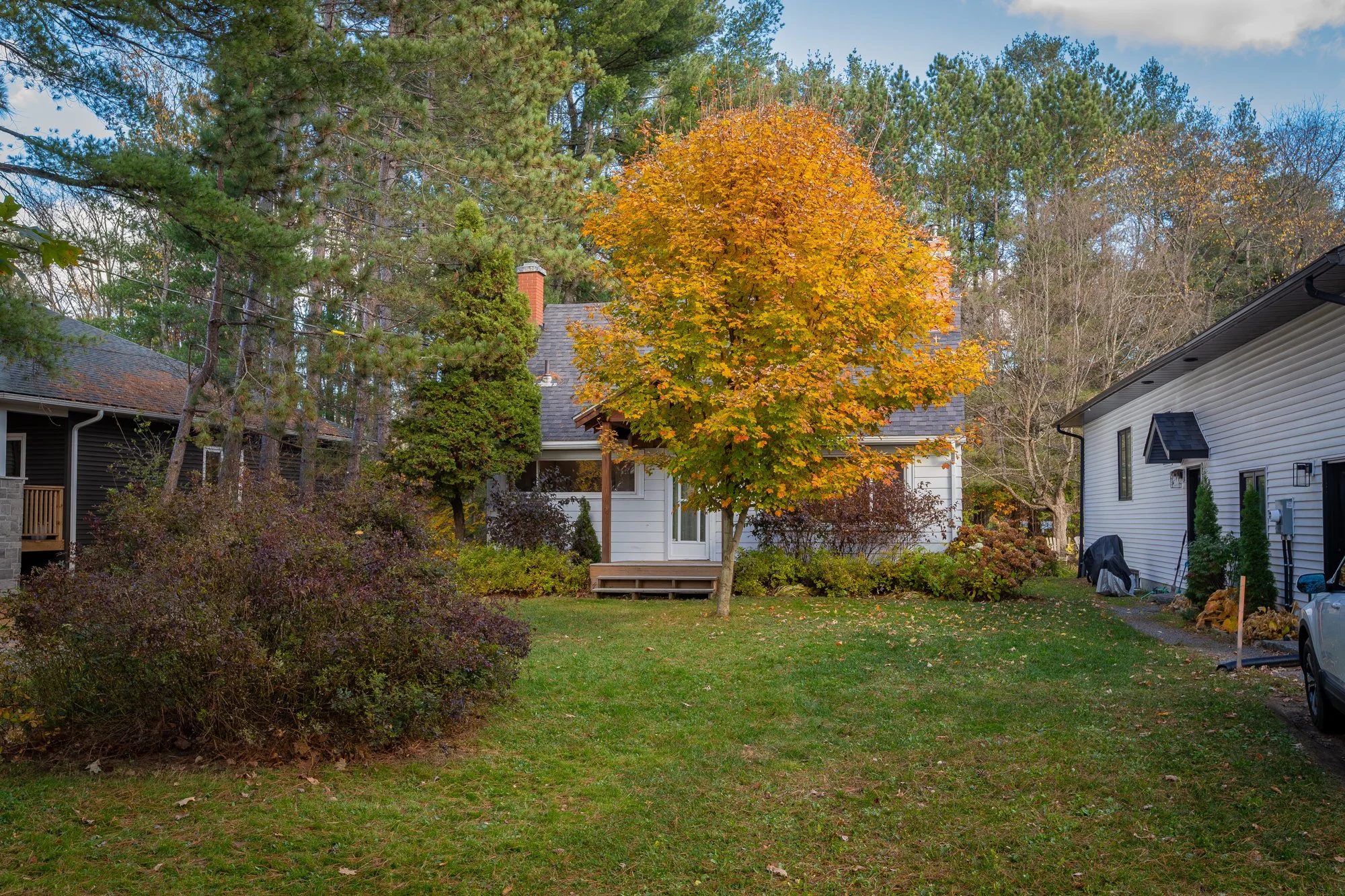 51 Gouldie Street, Huntsville-6.jpg