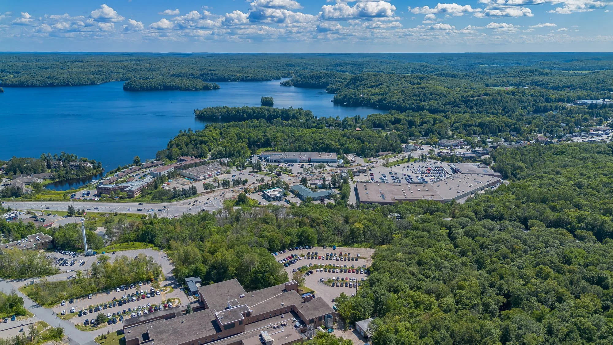 MuskokaForest-17.jpg