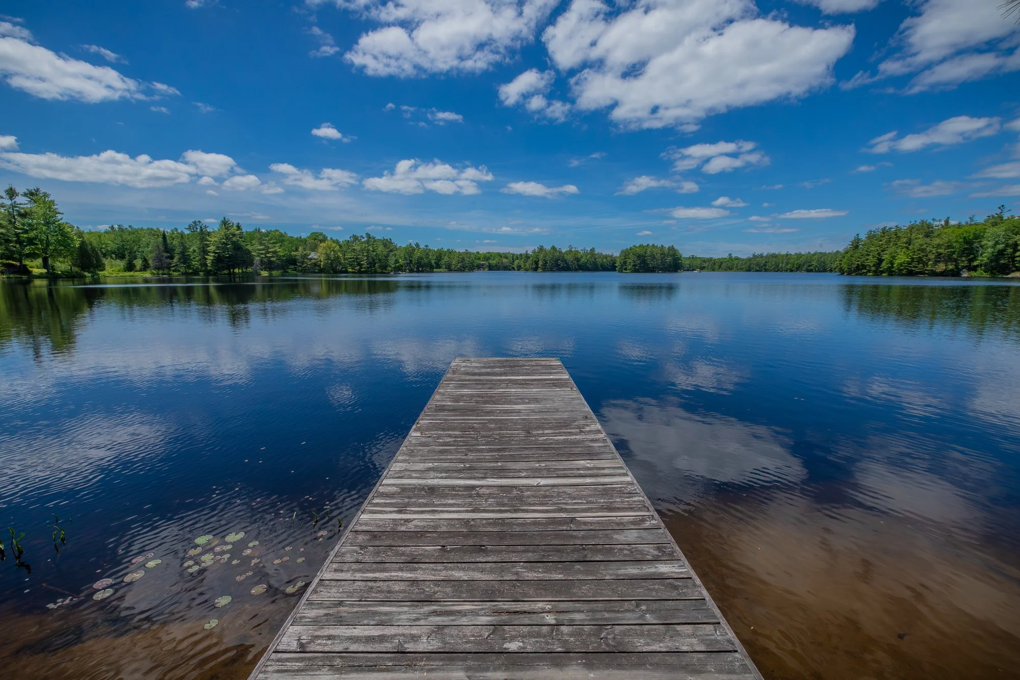 1077 Misty Lane, Gravenhurst-65.jpg