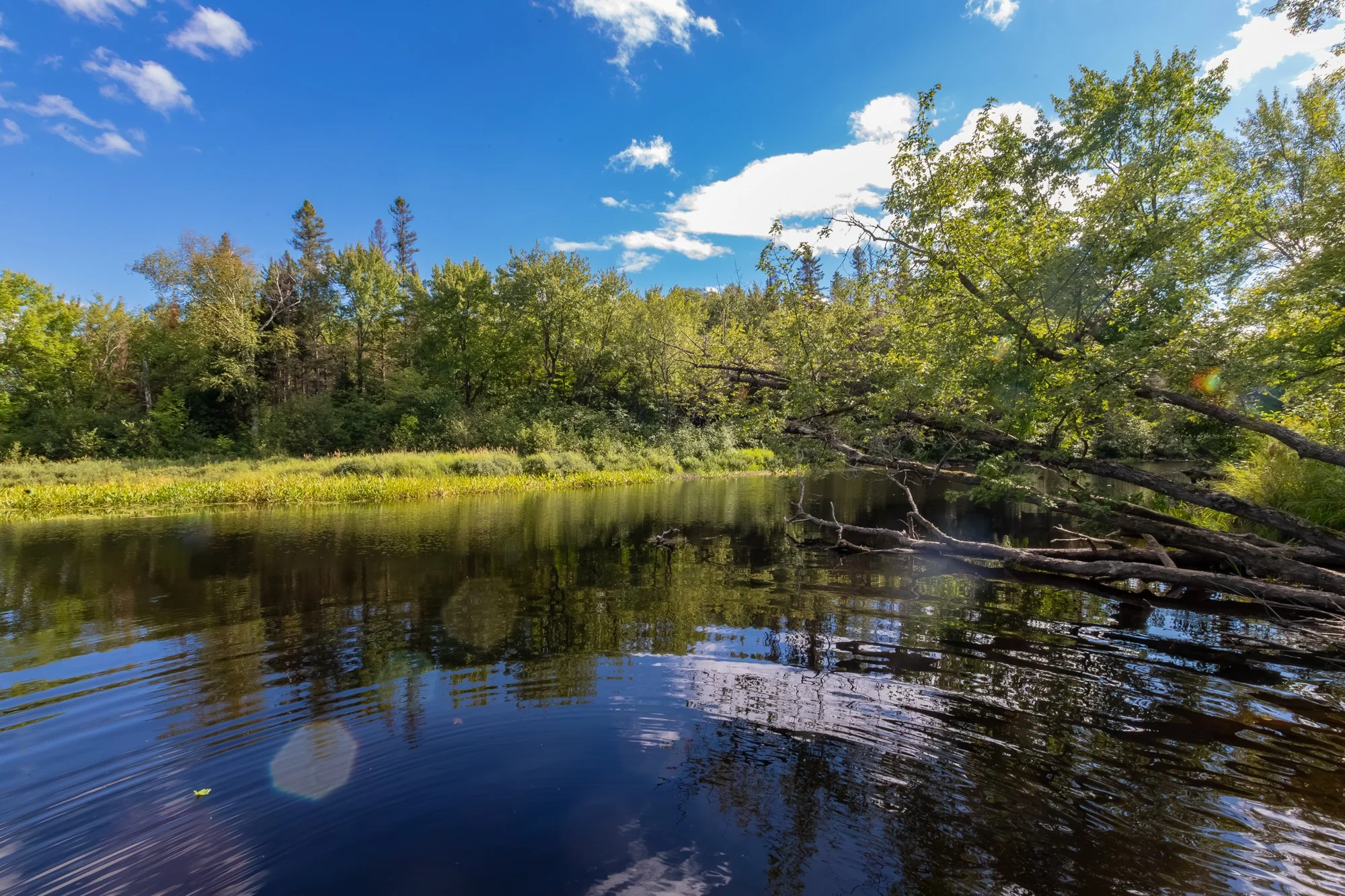 1547 North Pickerel Lake Road, Burk's Falls-38.jpg