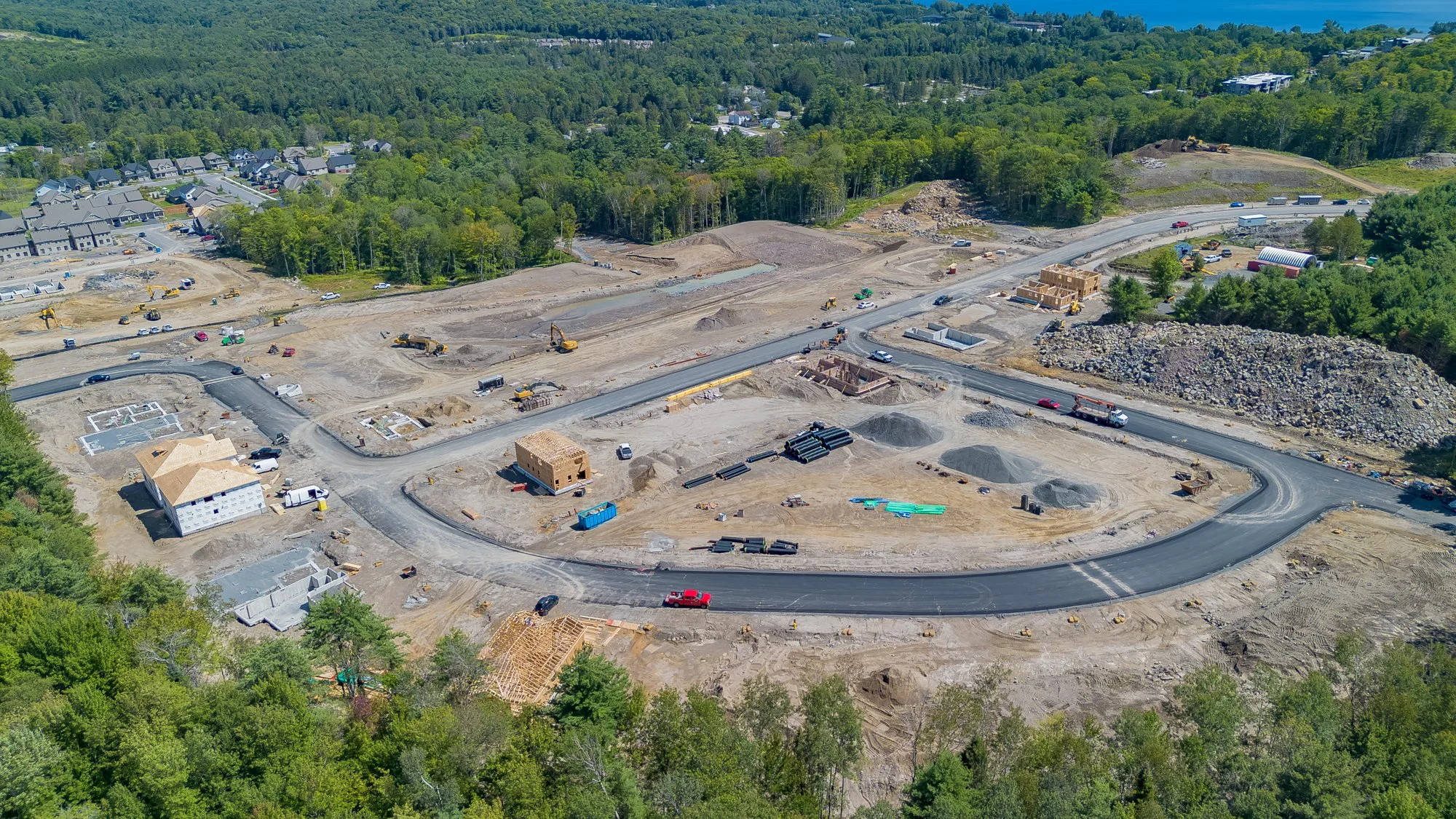 MuskokaForest-4.jpg