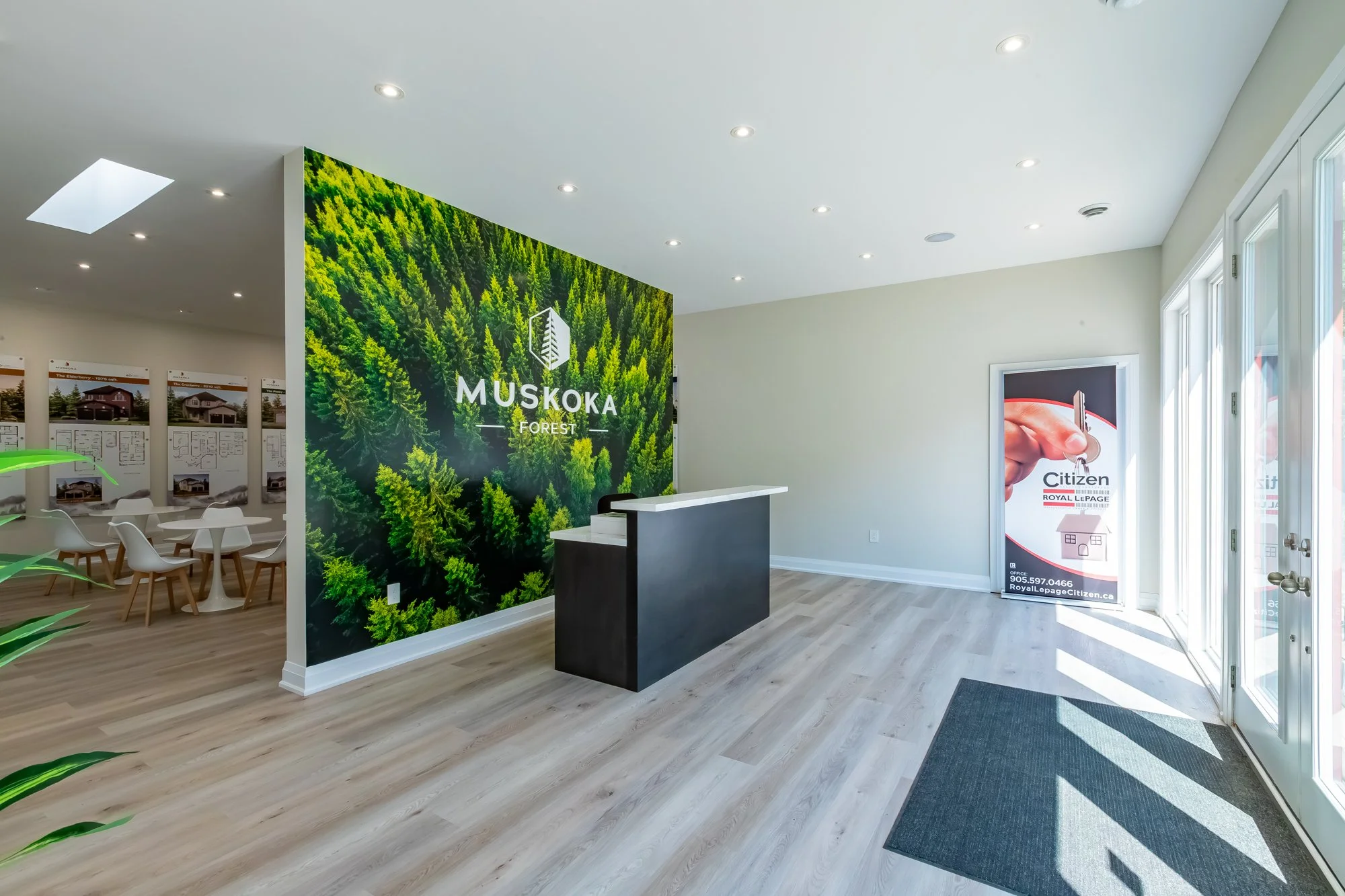 MuskokaForest-36.jpg