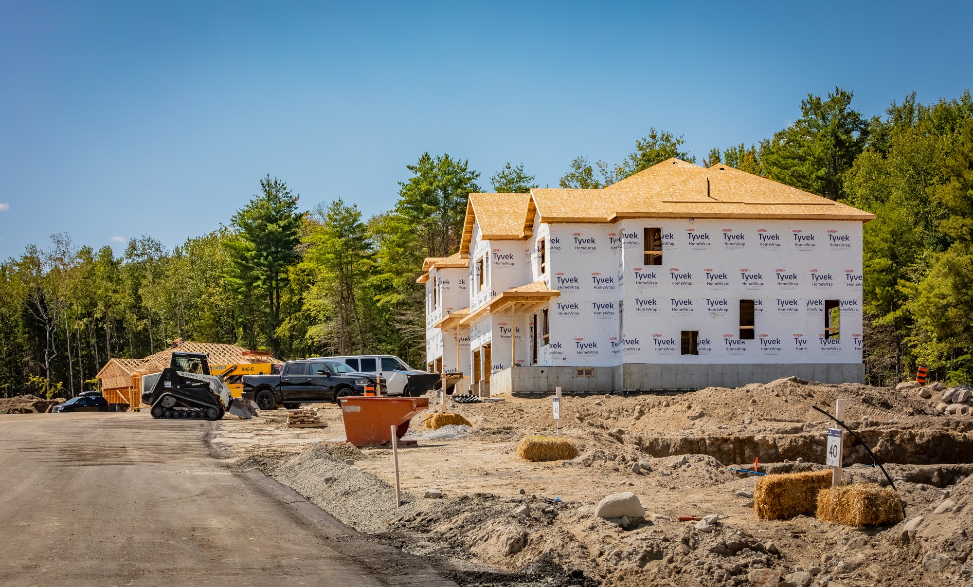 MuskokaForest-20.jpg