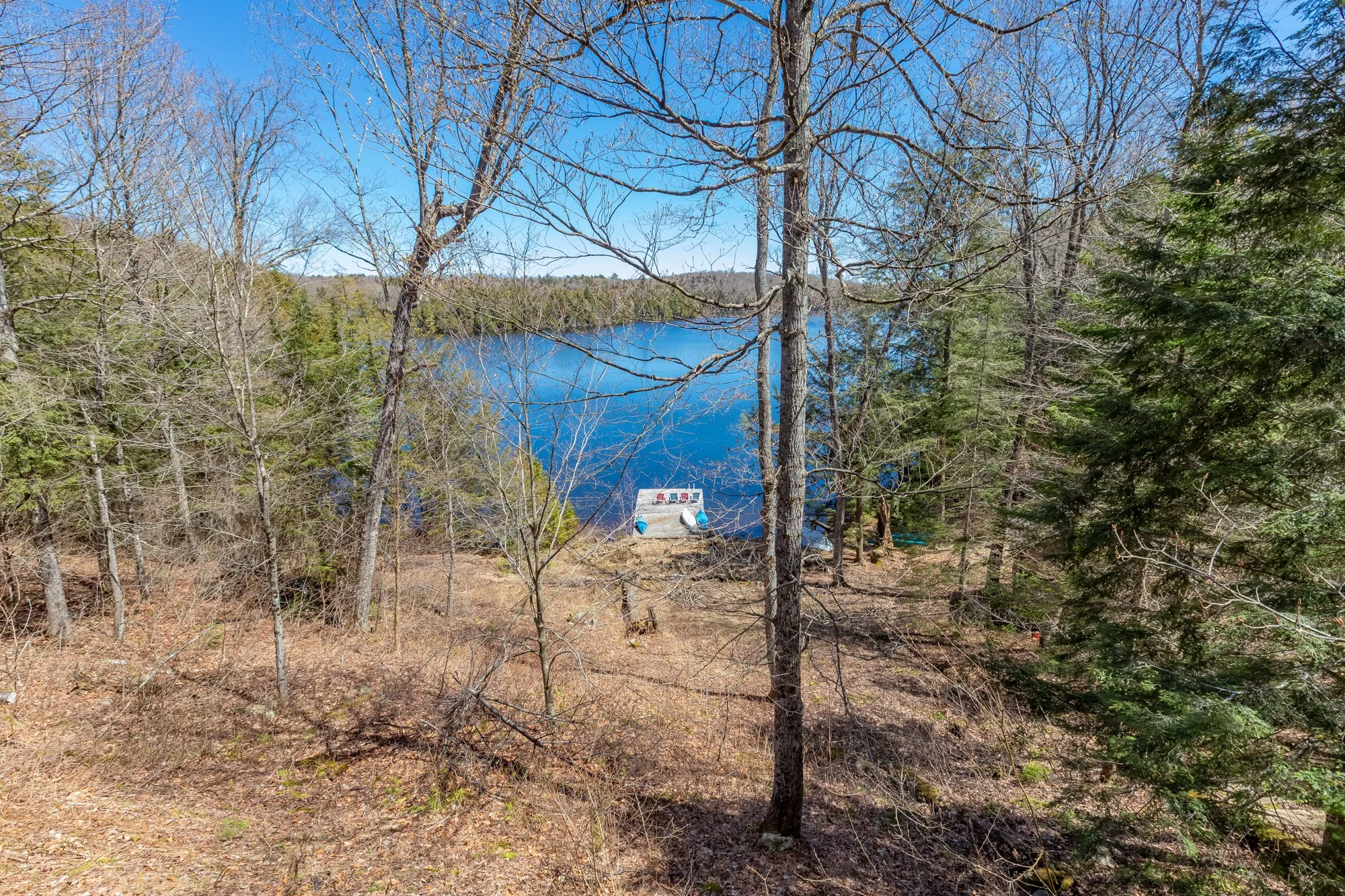 1113 Crobiel Lake Drive, Dorset-43.jpg