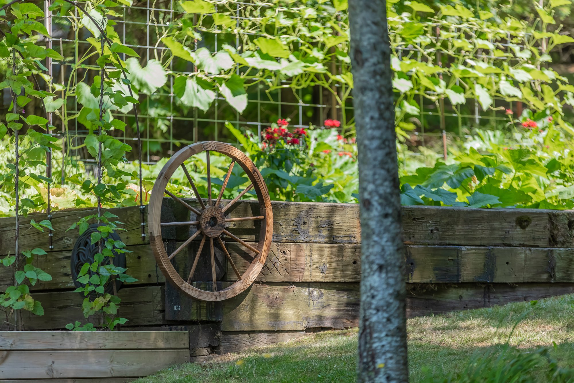 78 Jeffrey Road, Township of Lount-125.jpg