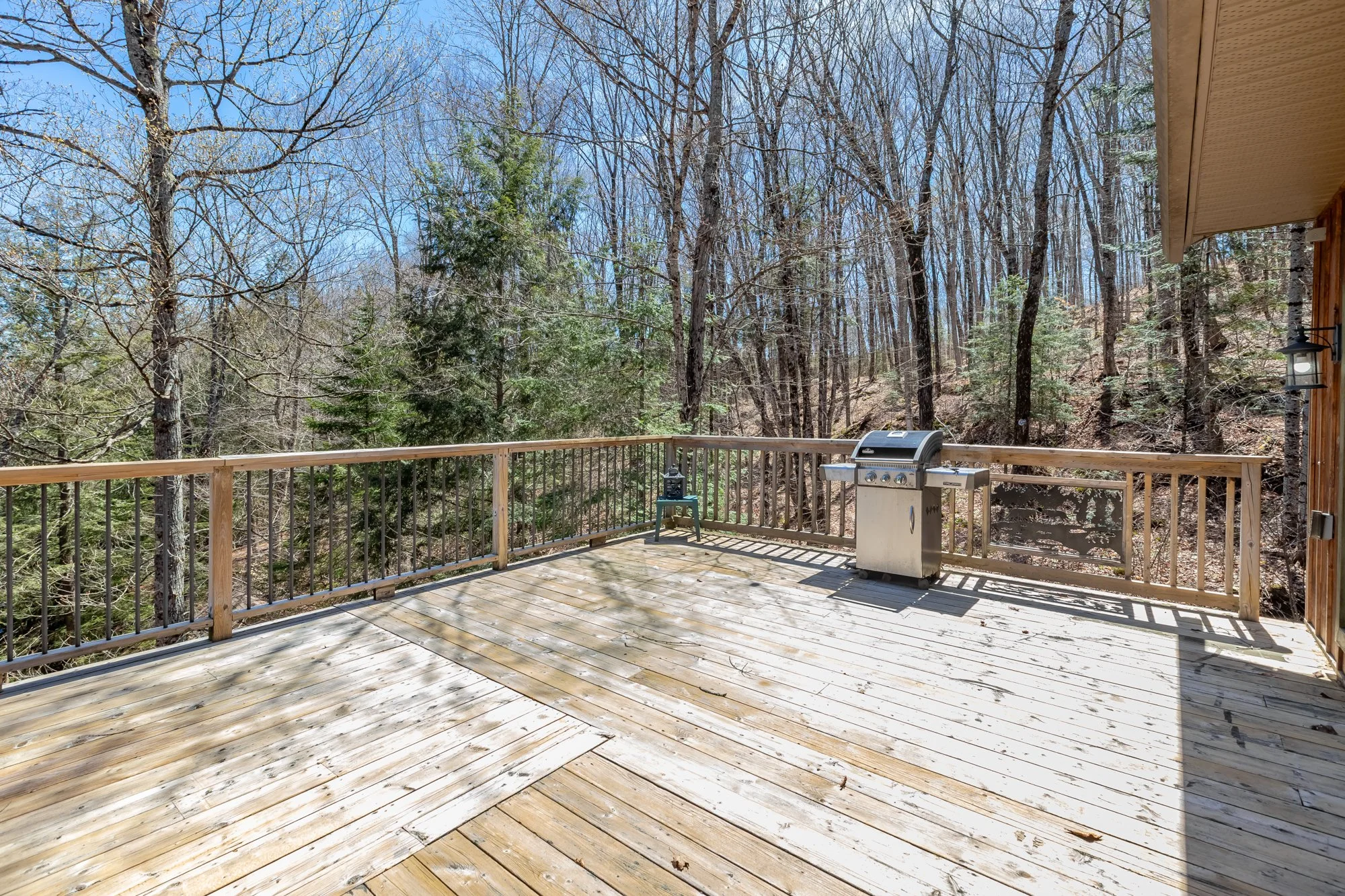 1113 Crobiel Lake Drive, Dorset-42.jpg