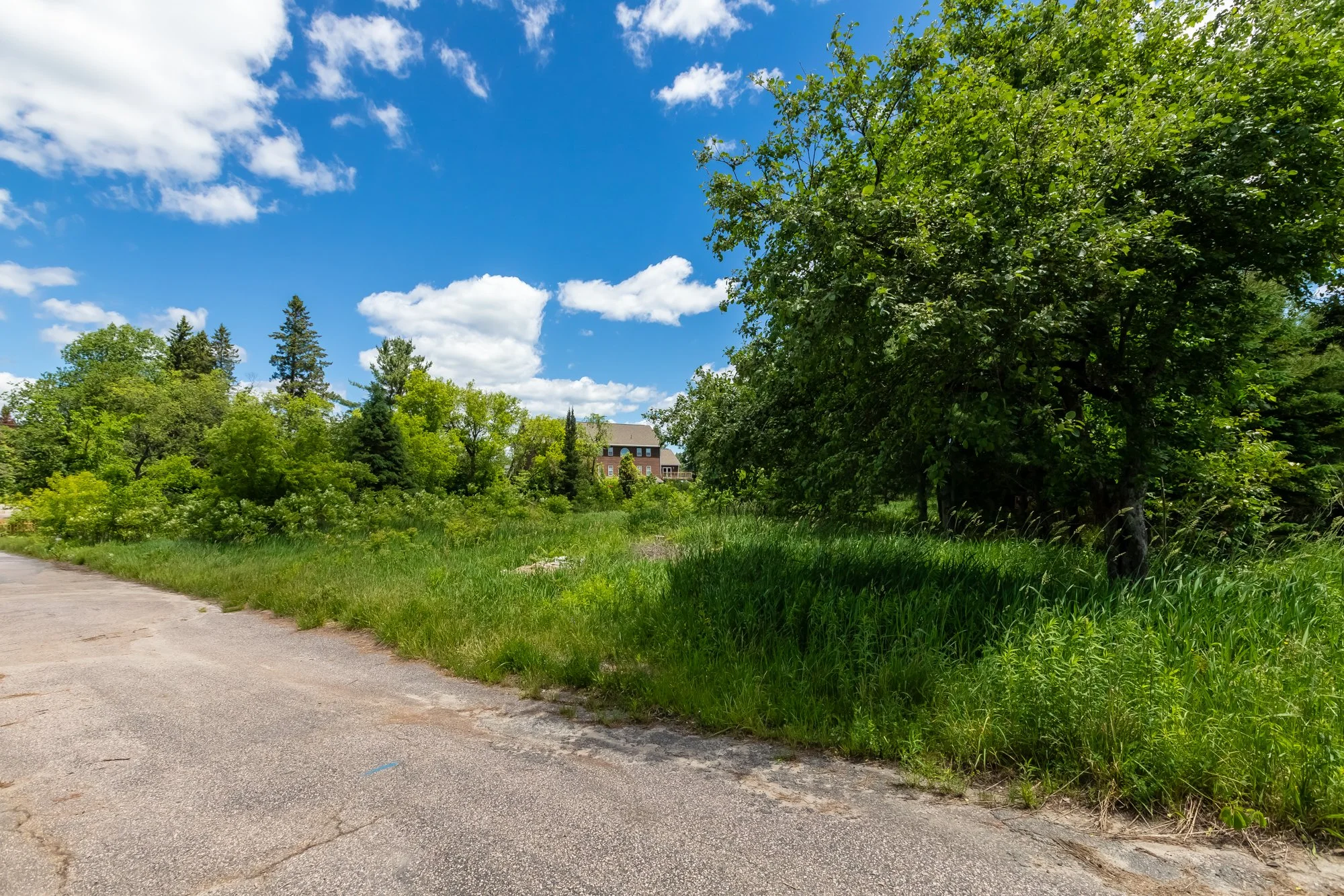 551 Highway 118 West, Bracebridge-14.jpg