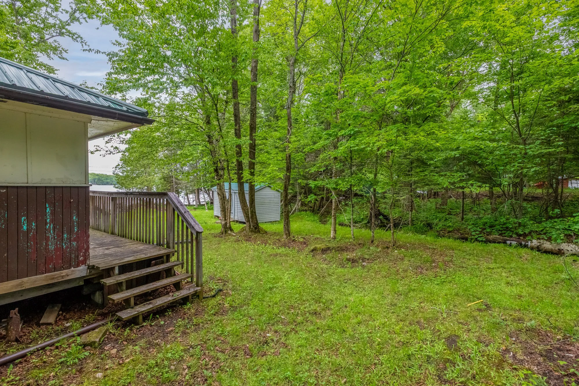 339 Sunnylea Avenue, Katrine-11.jpg